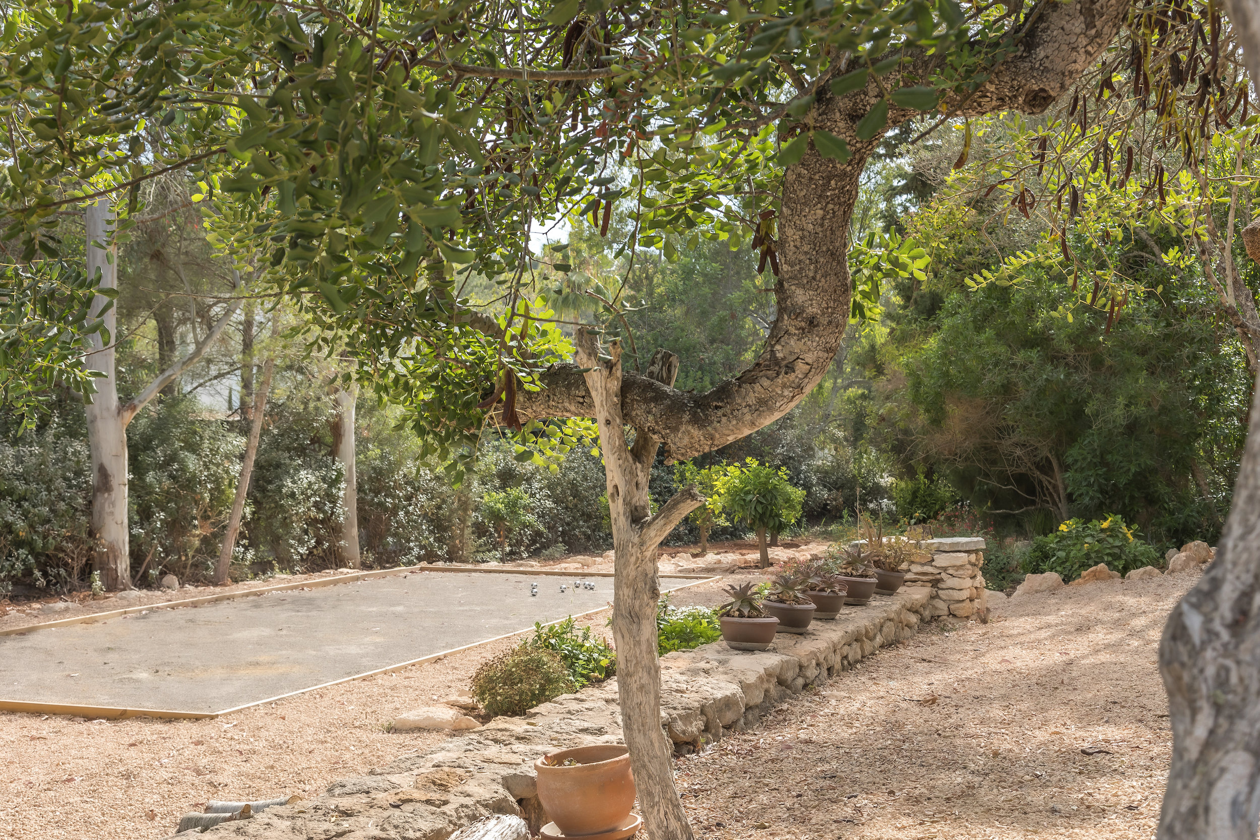 Finca Bonito image 39