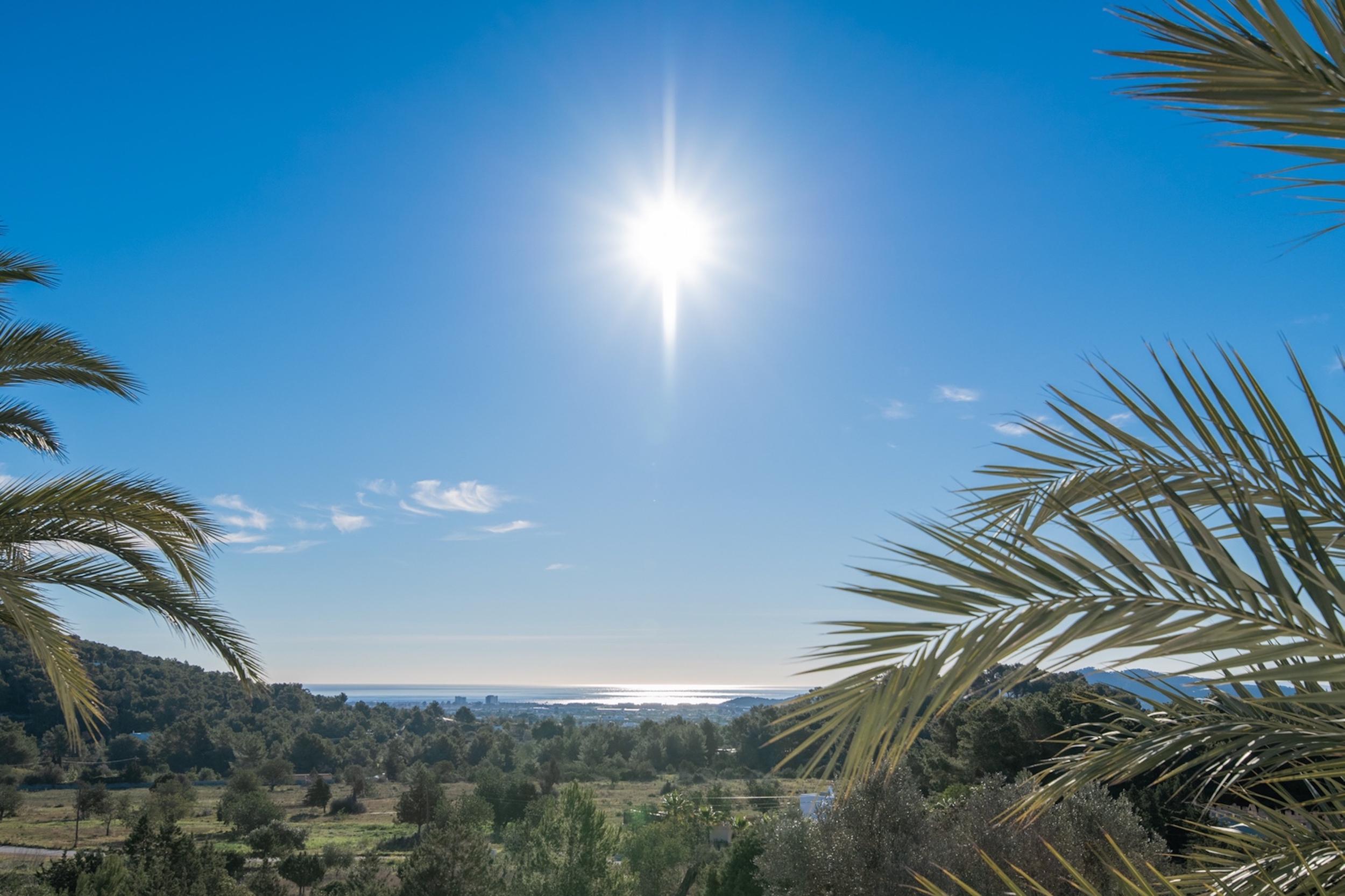 Oasis image 62