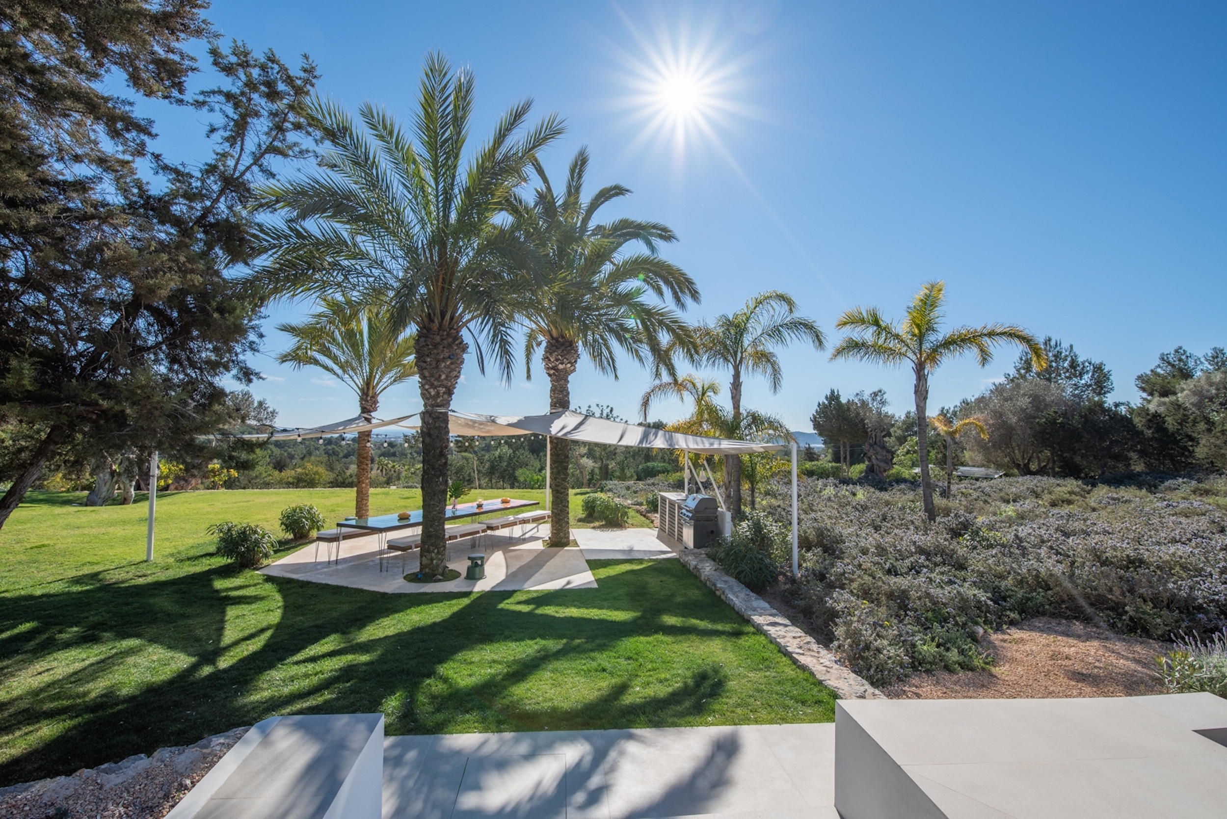Oasis image 58