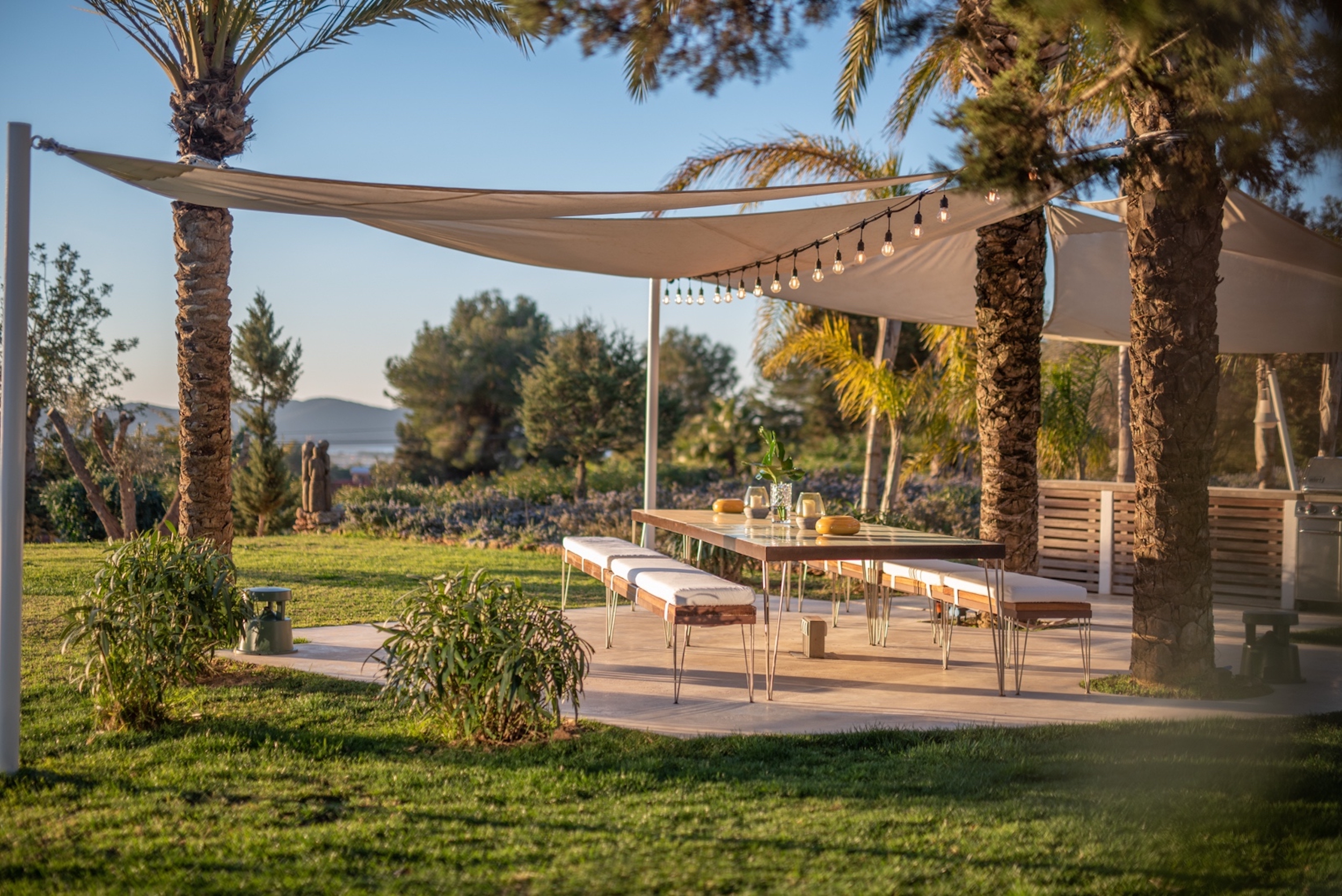 Oasis image 10
