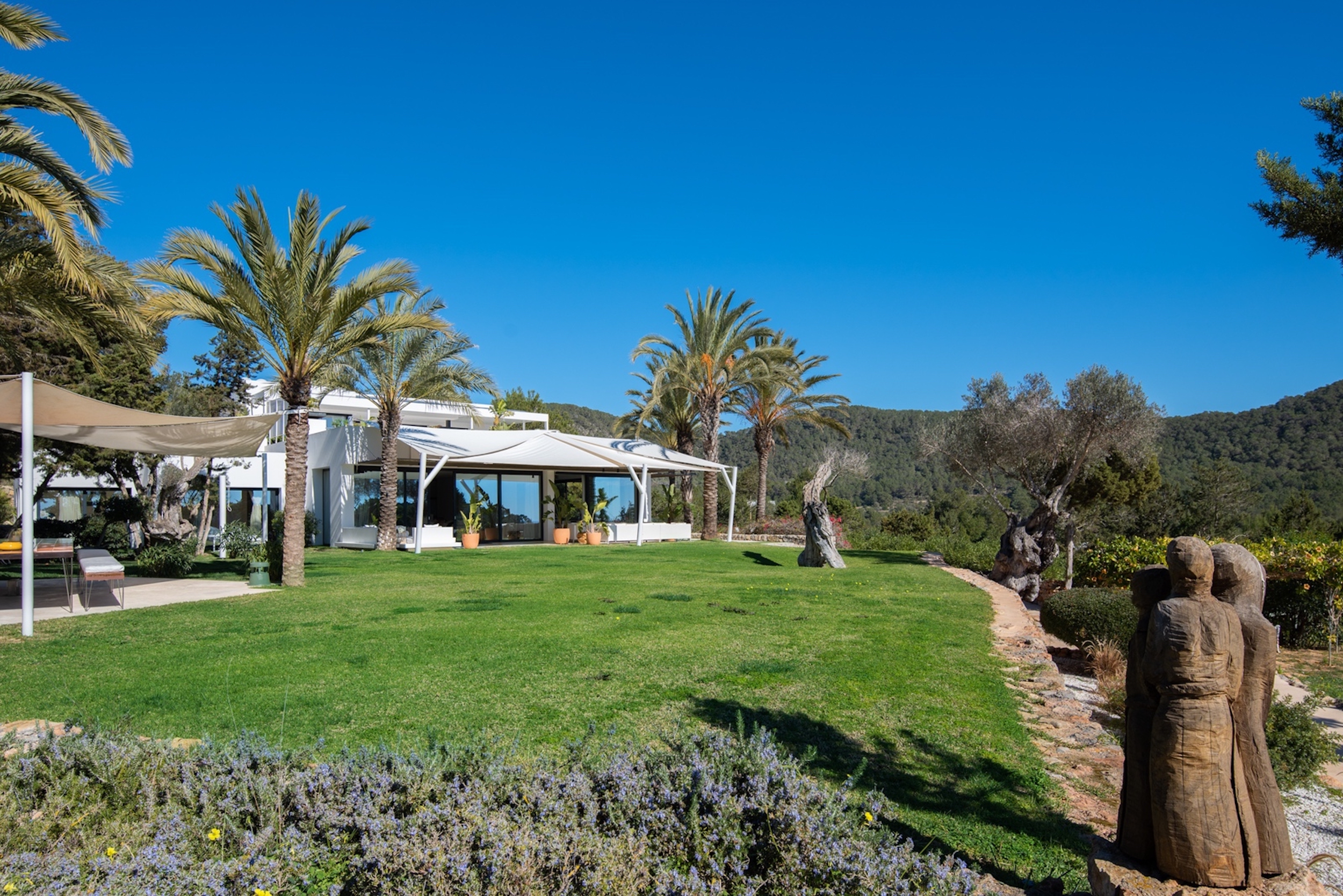 Oasis image 12