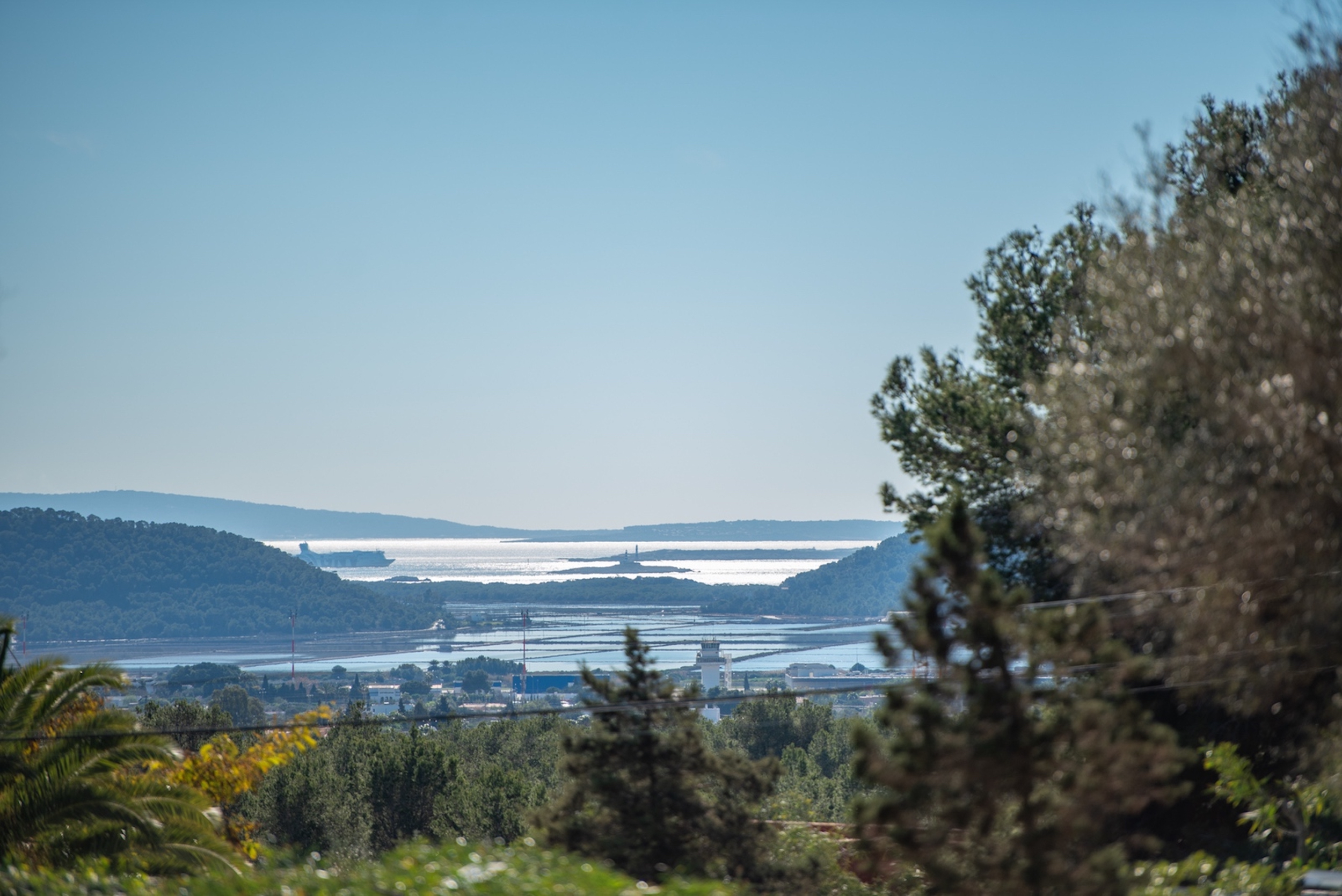 Oasis image 67