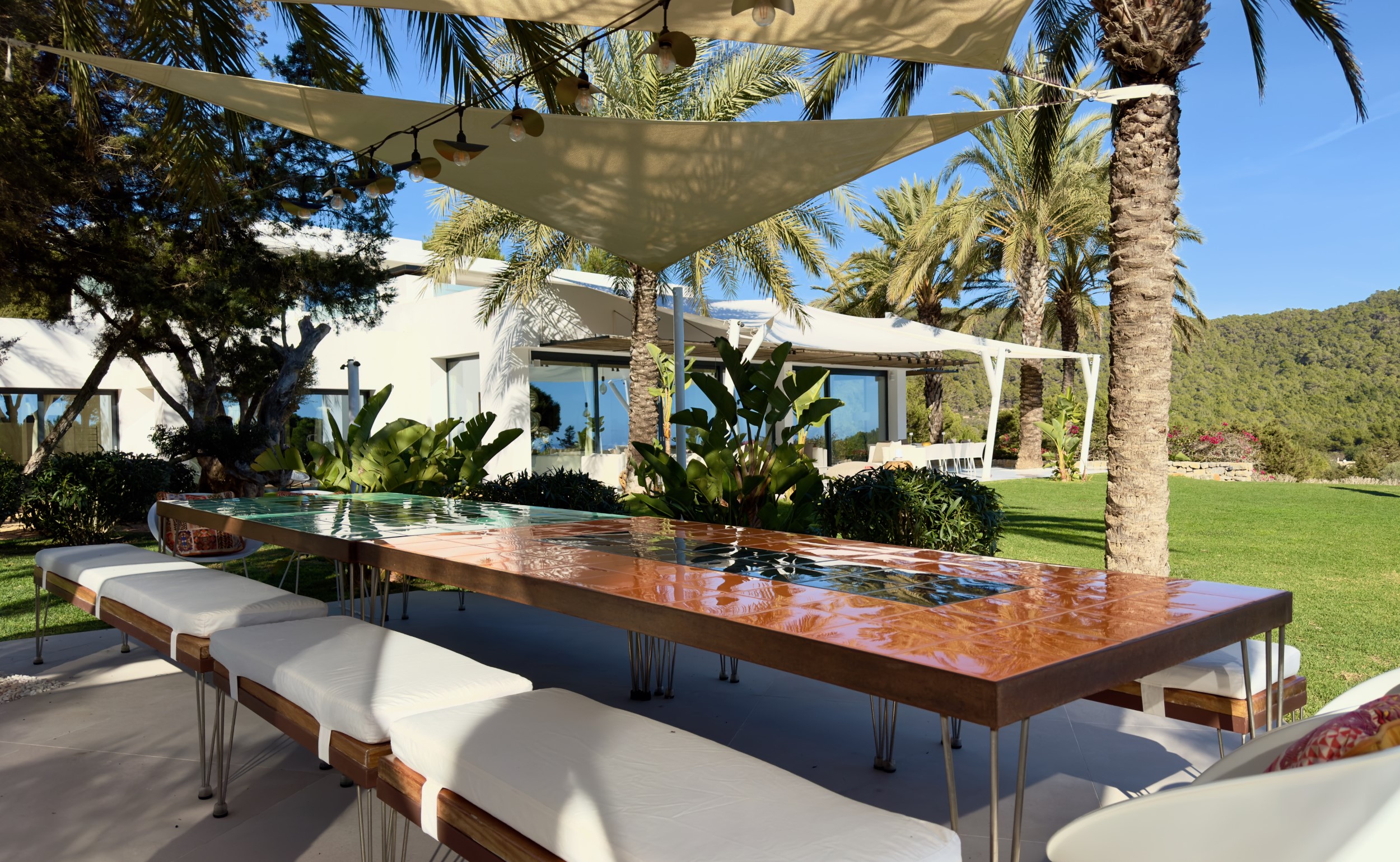 Oasis image 11