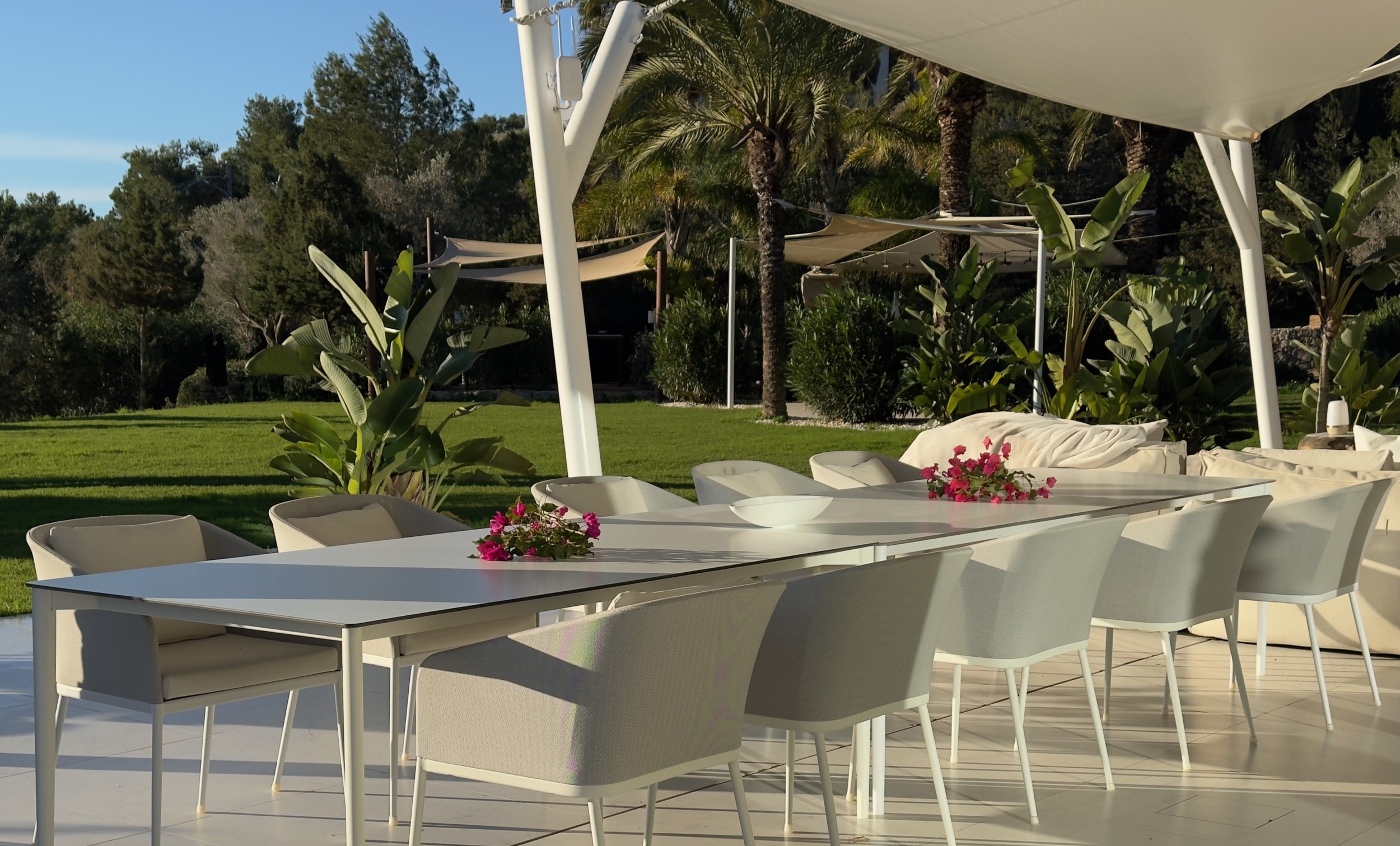 Oasis image 13