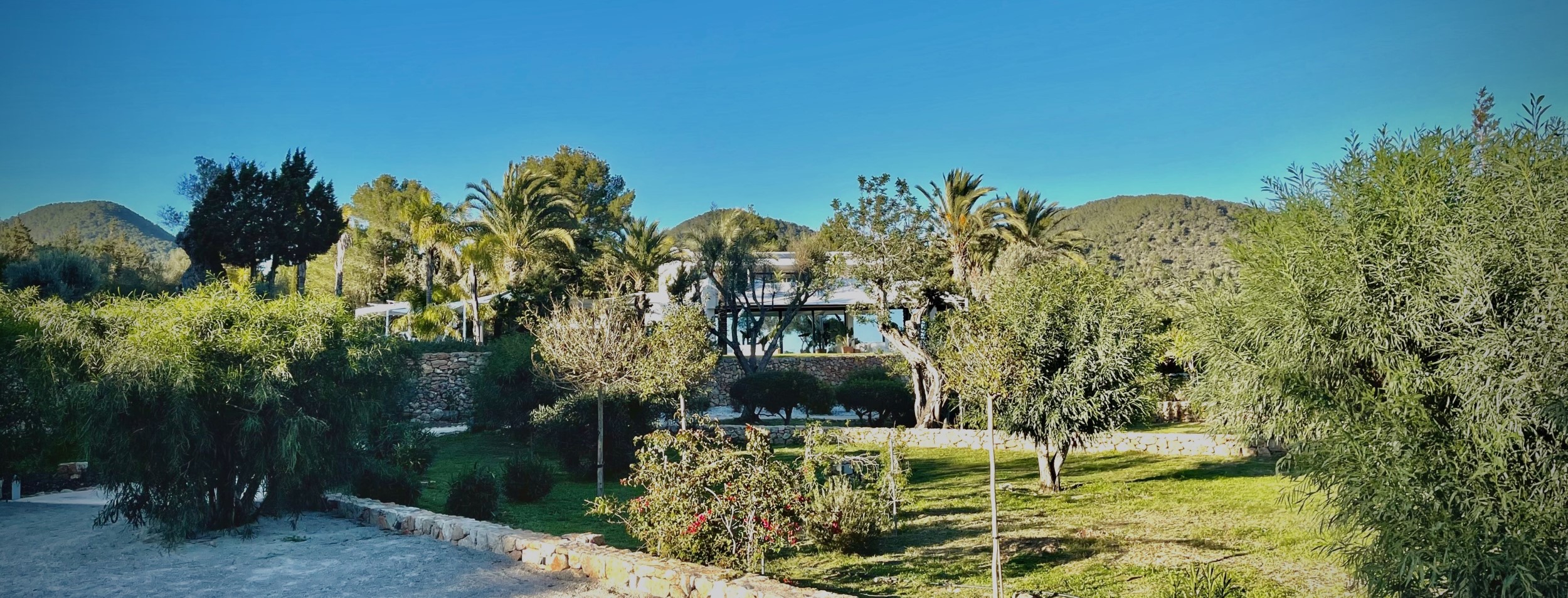 Oasis image 61