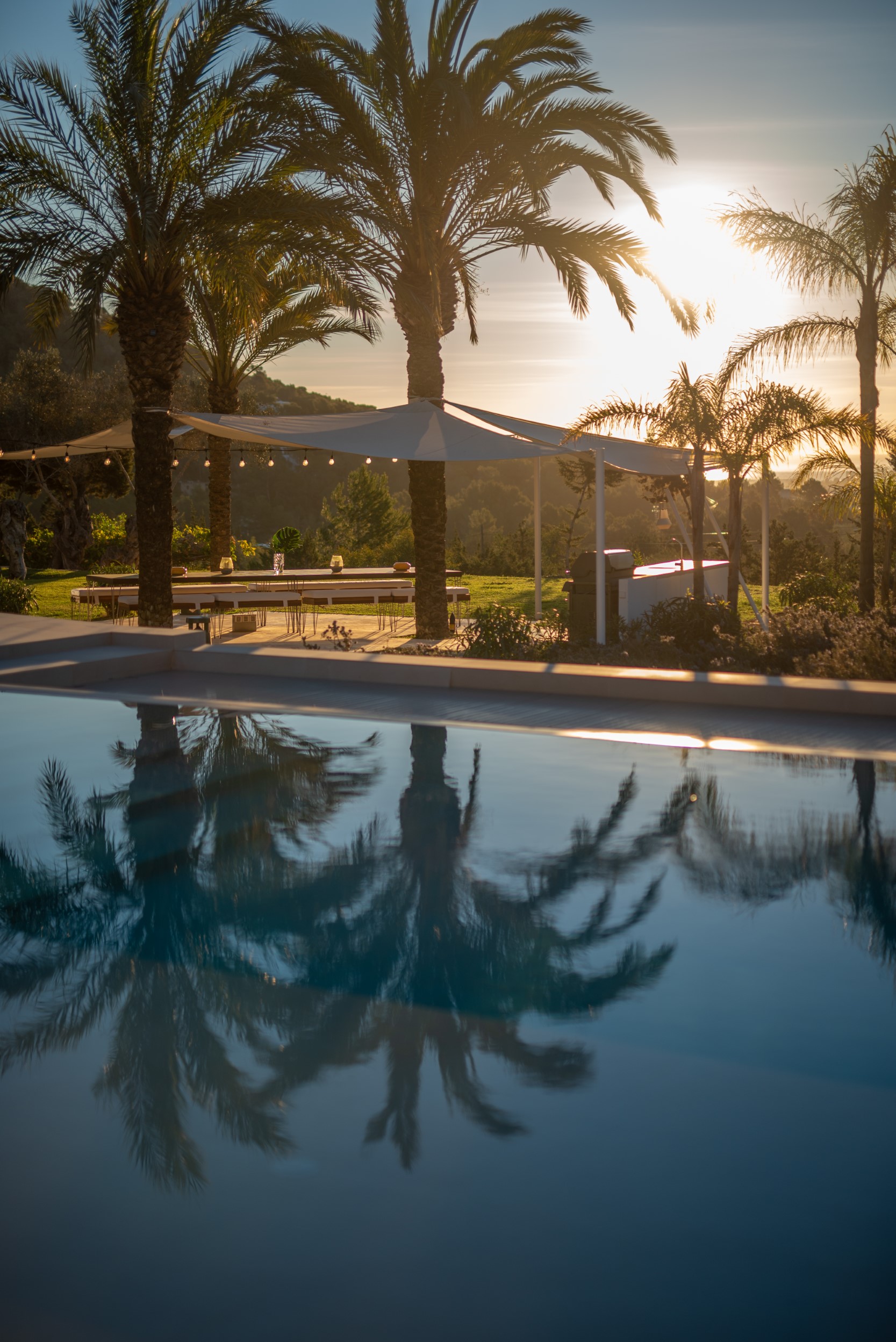 Oasis image 66