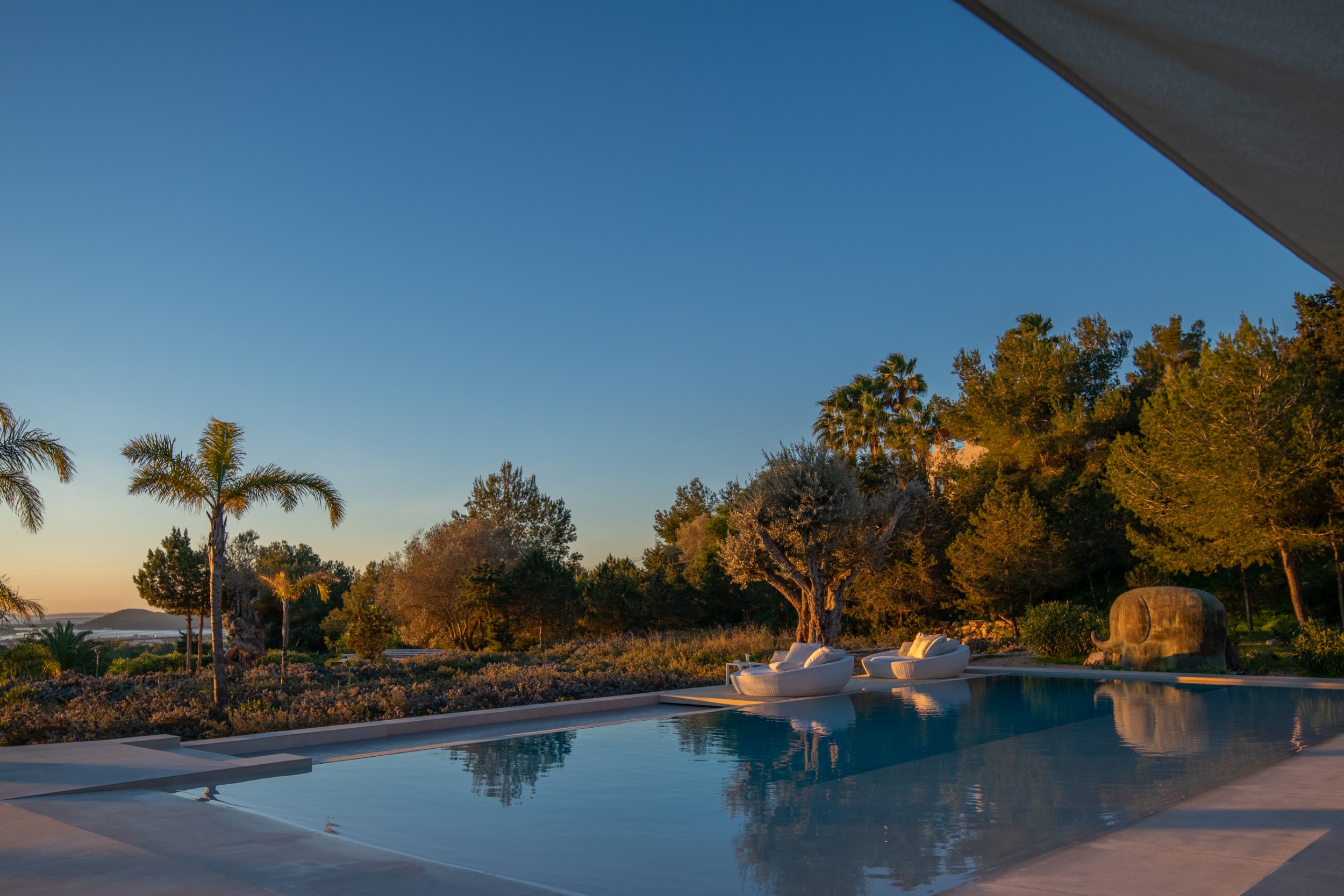 Oasis image 65