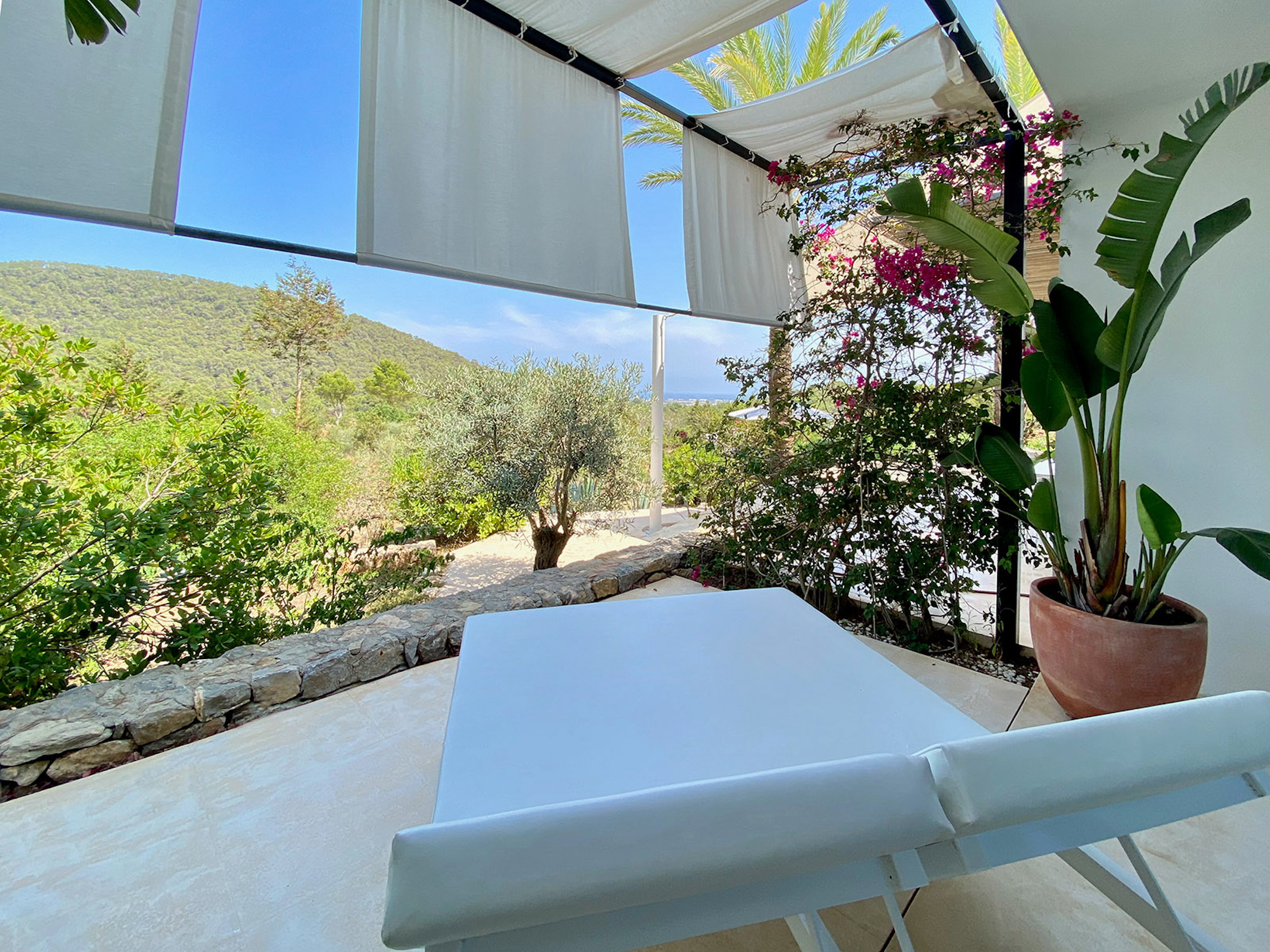 Oasis image 32