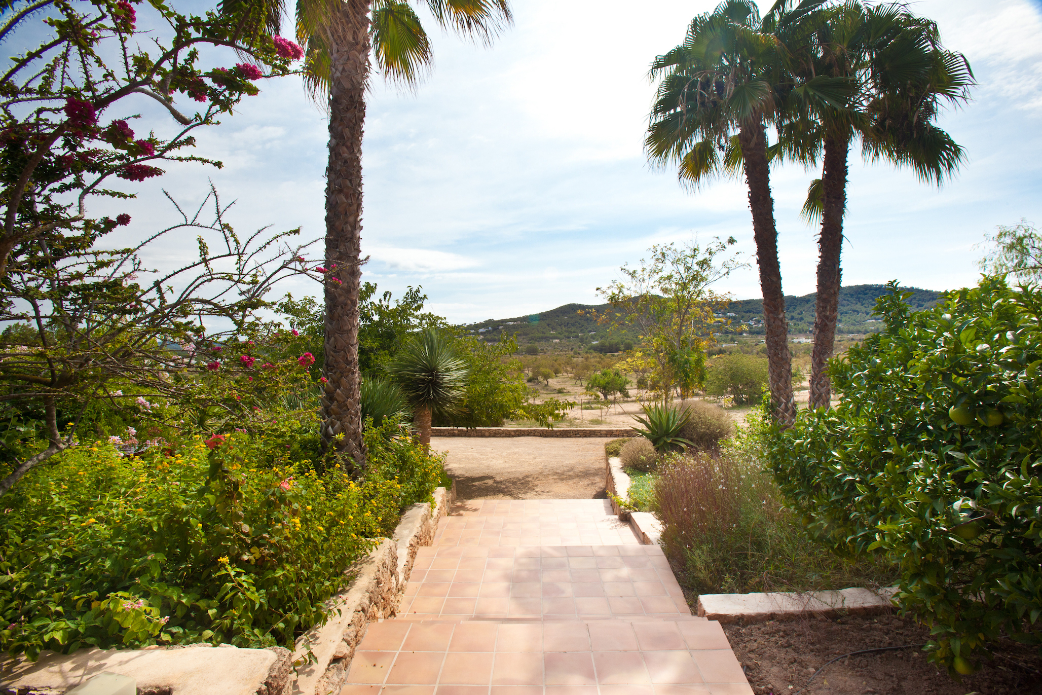 Can Cala Bassa image 33
