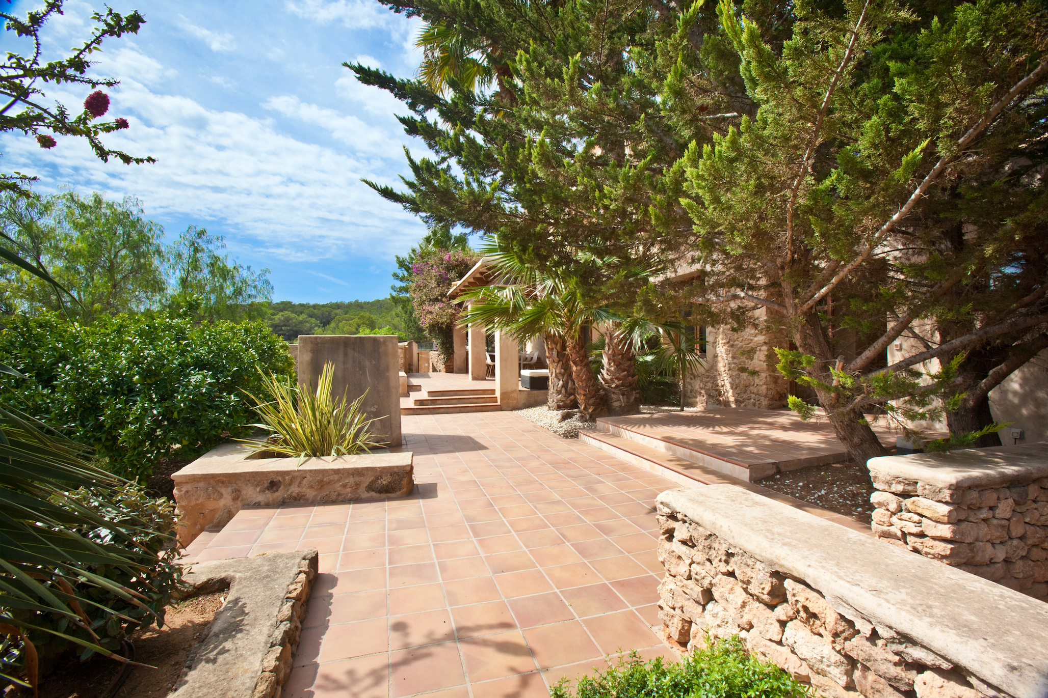 Can Cala Bassa image 34