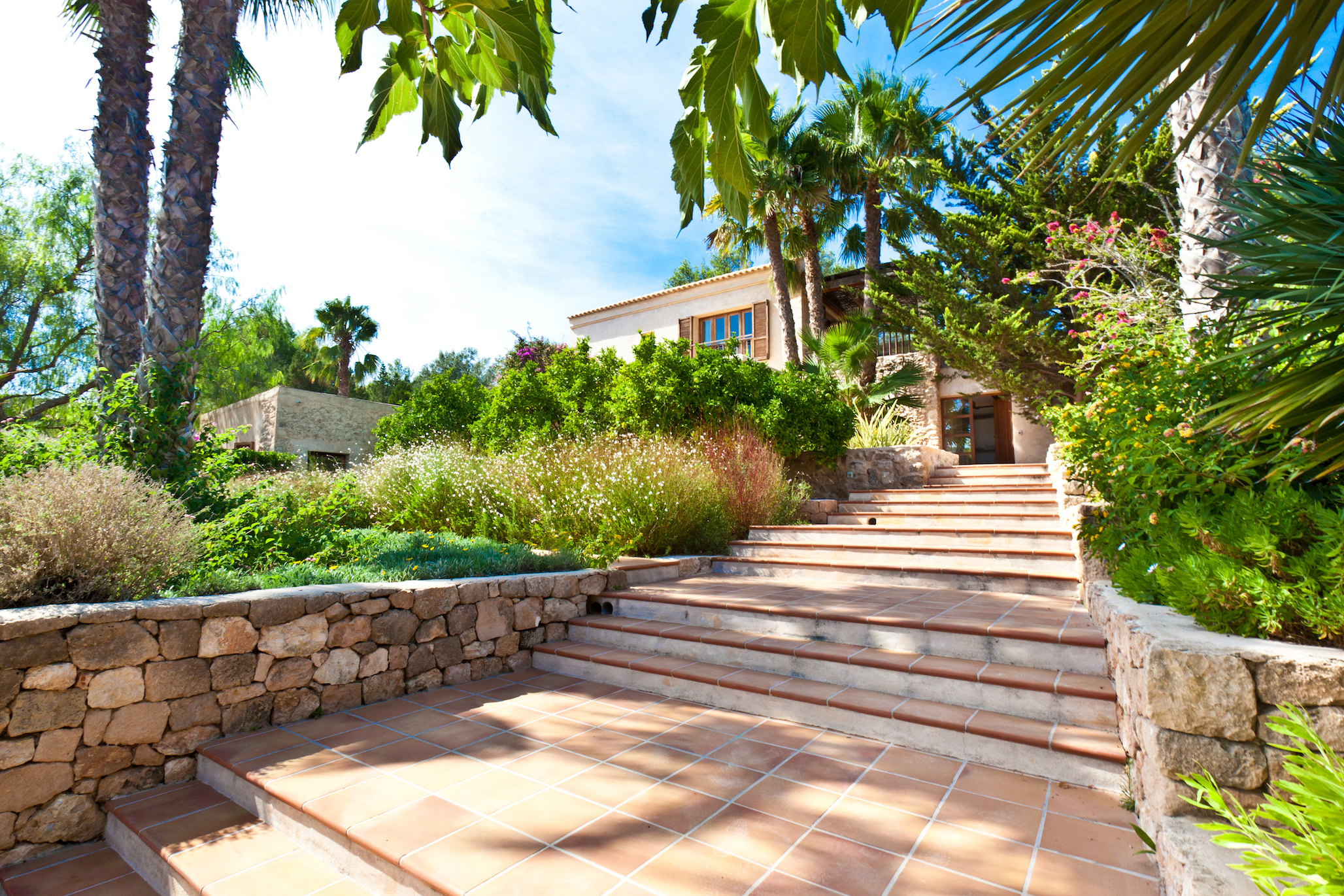 Can Cala Bassa image 36