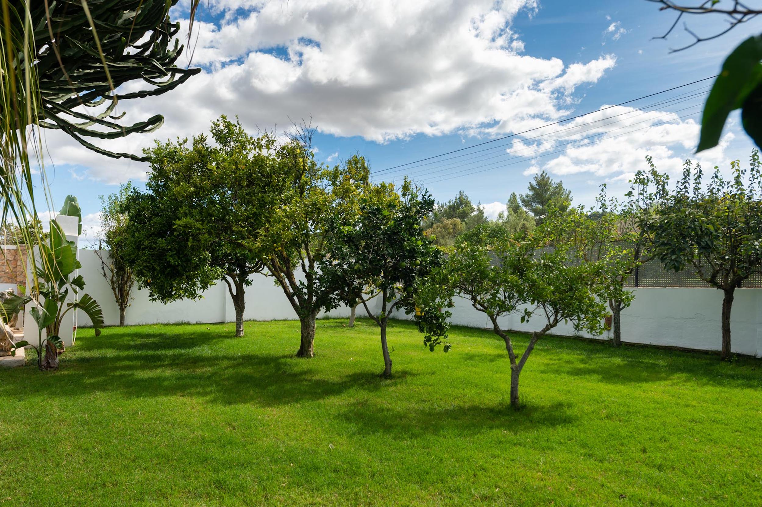 Villa Beatrisa image 34
