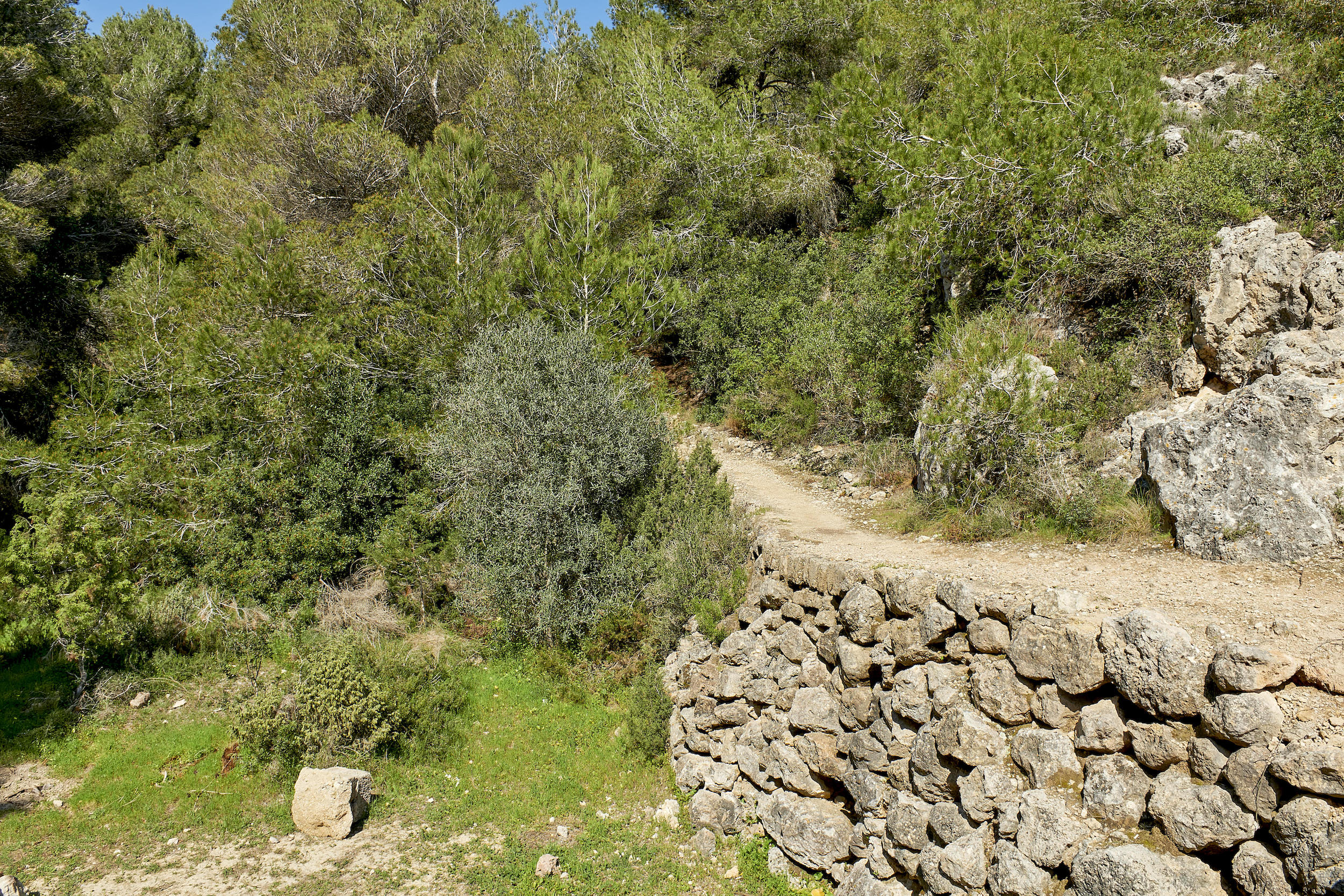 Villa La Costa image 63