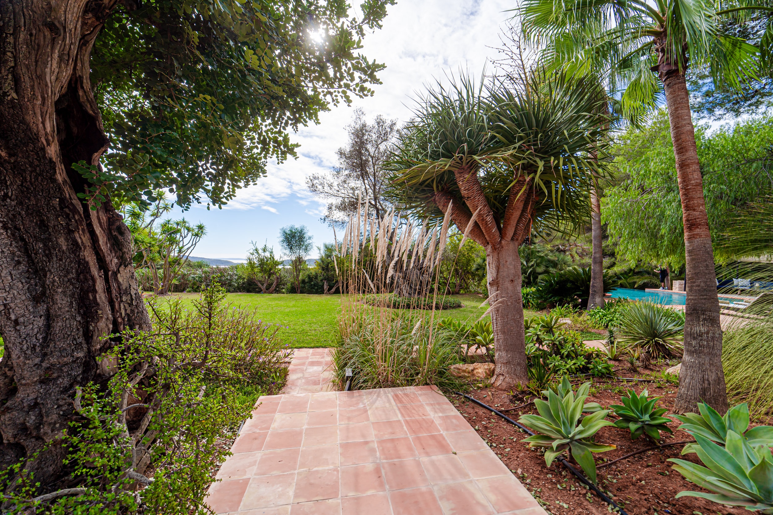 Casa Jardin image 66