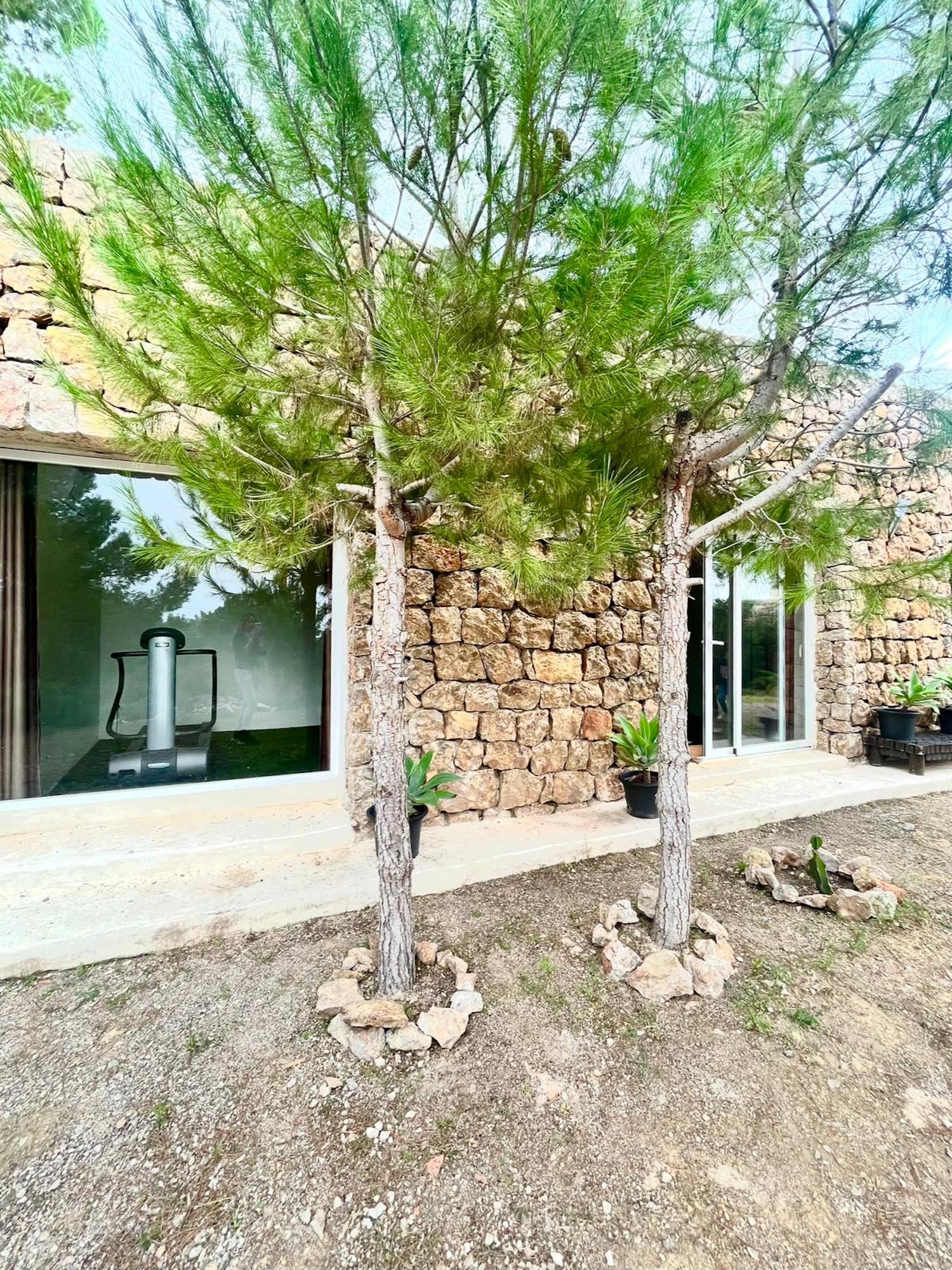 Estrella Azul image 40