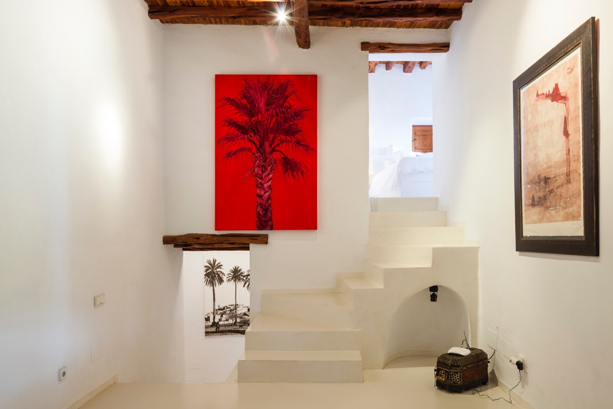 Estrella Azul image 17