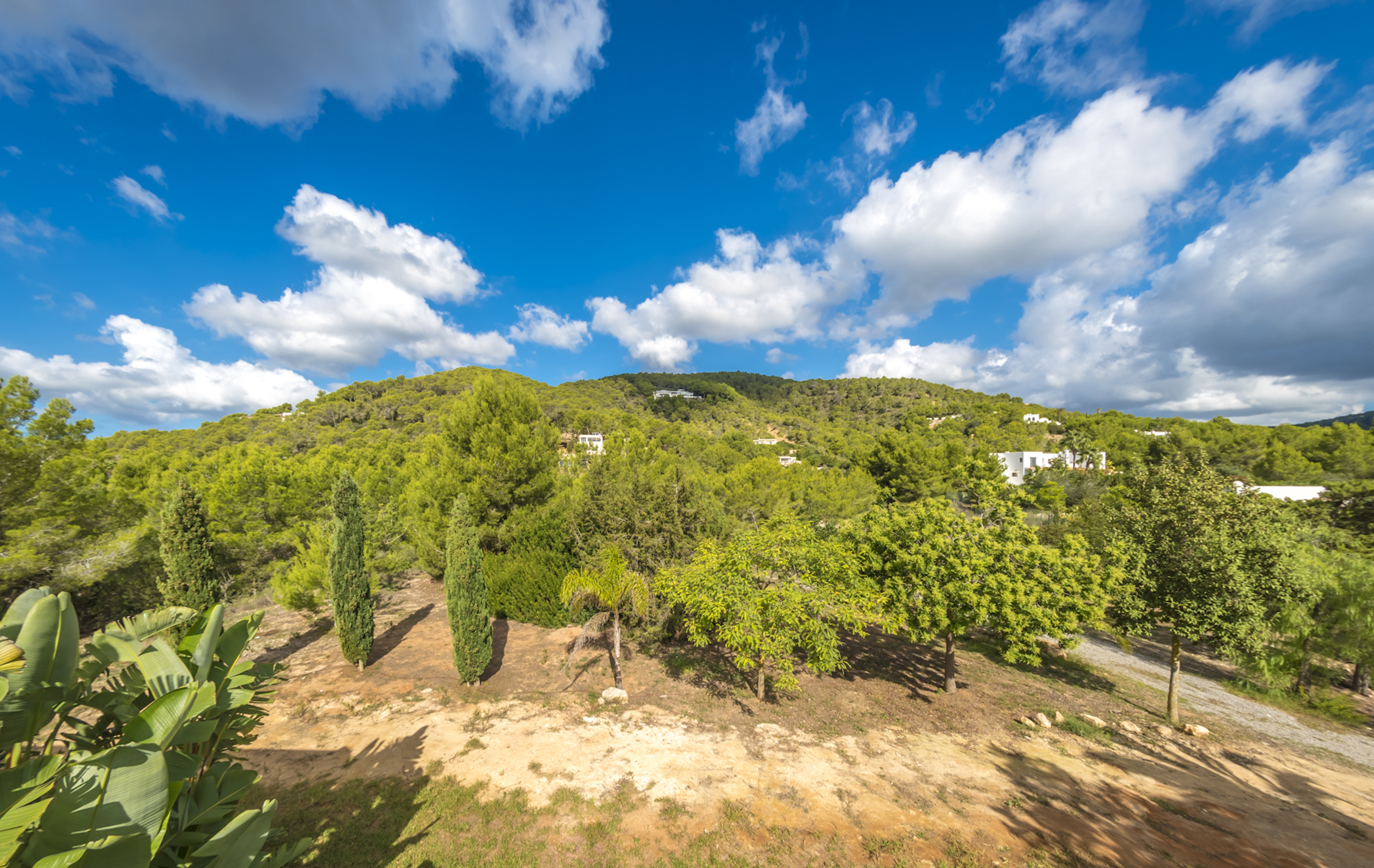 Estrella Azul image 48