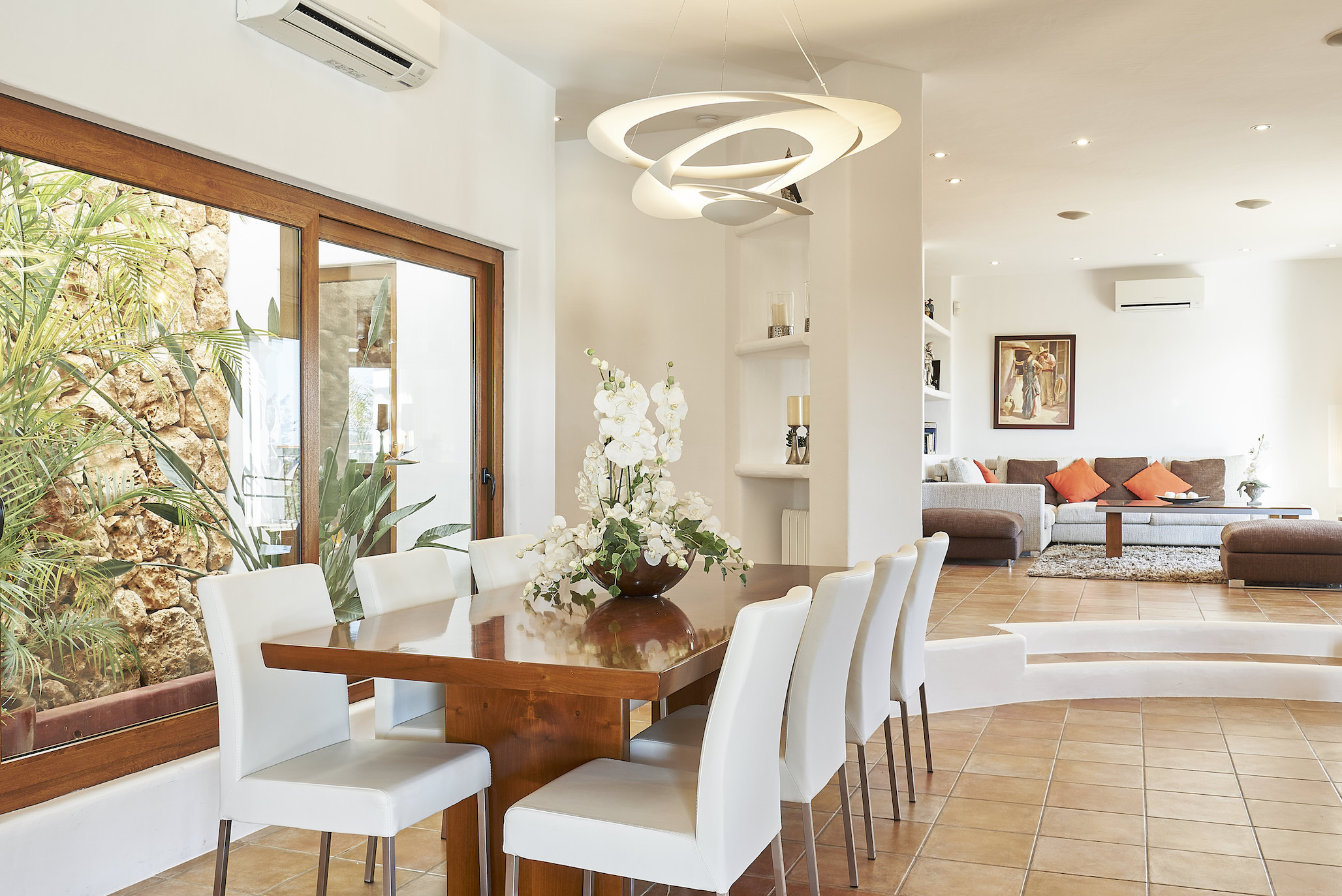 Cana Delfina image 12