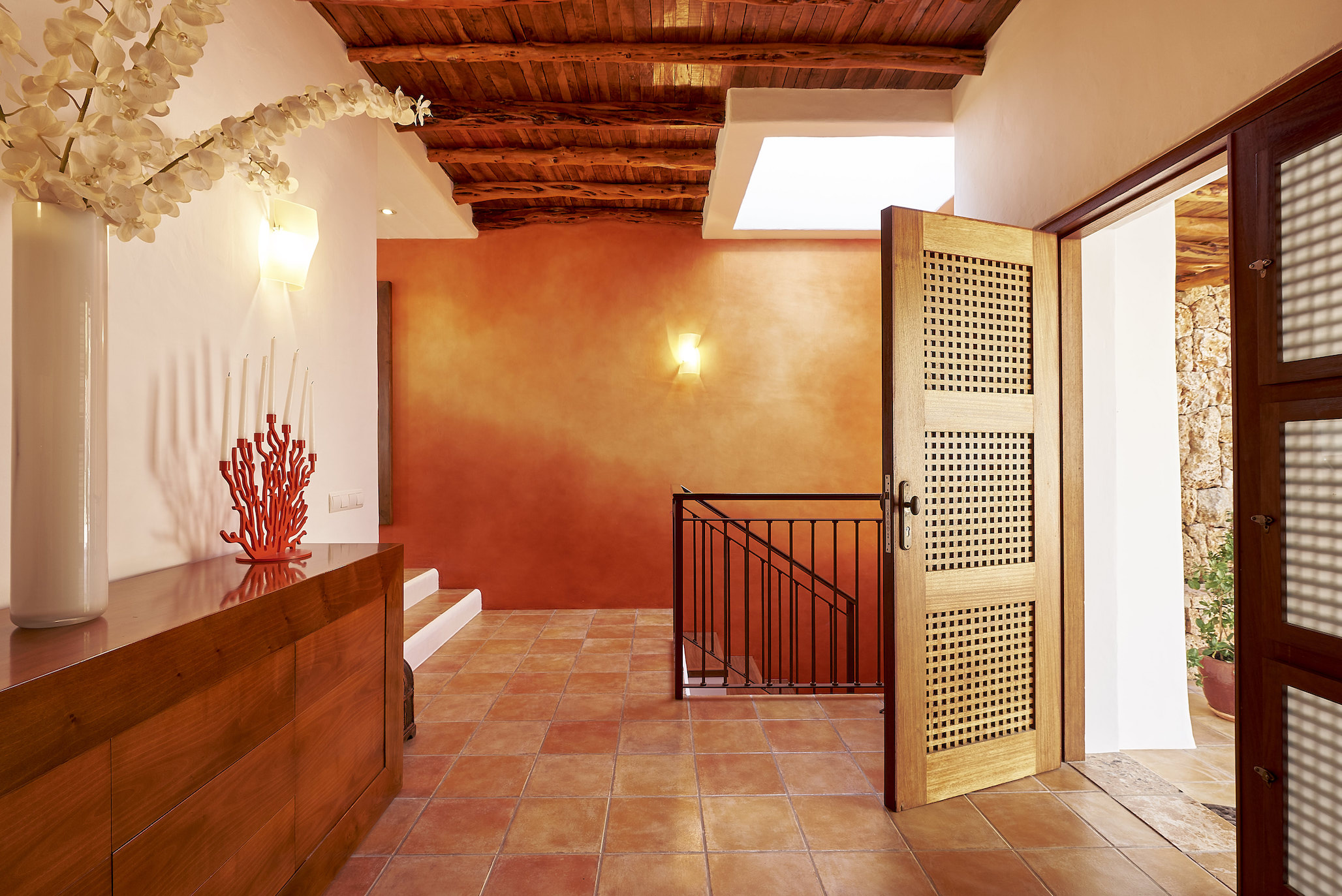 Cana Delfina image 49