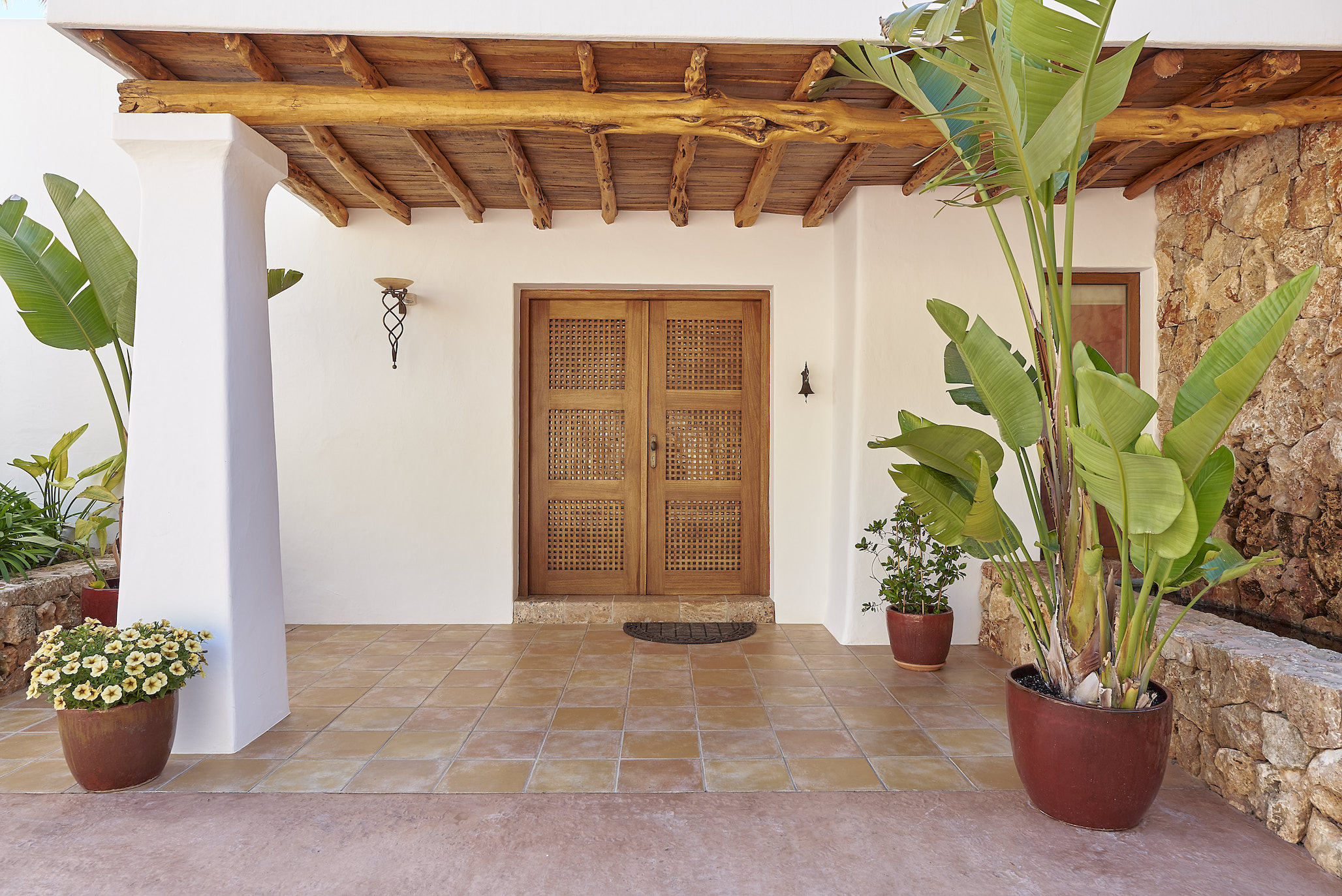 Cana Delfina image 50