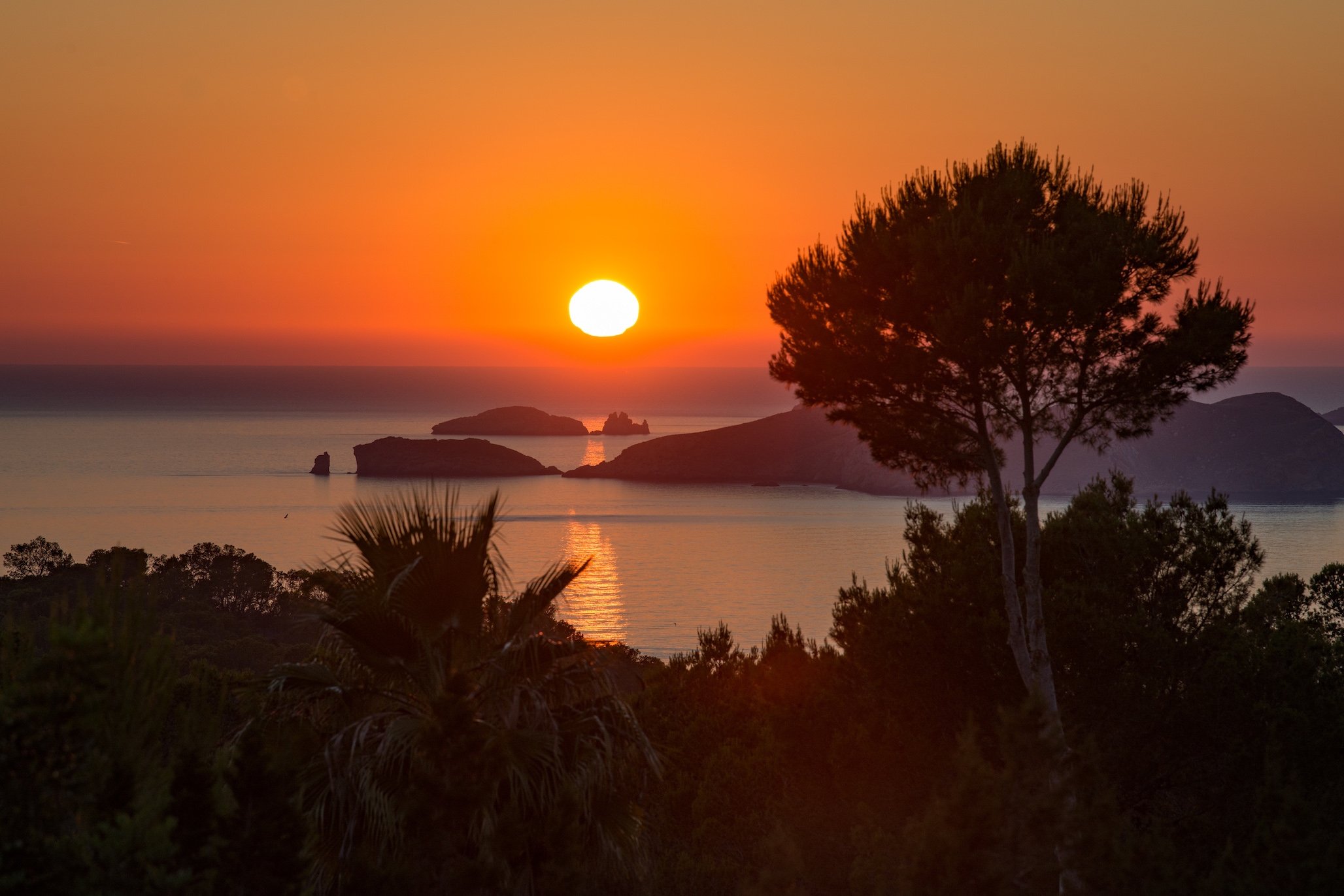 Villa Dante image 45