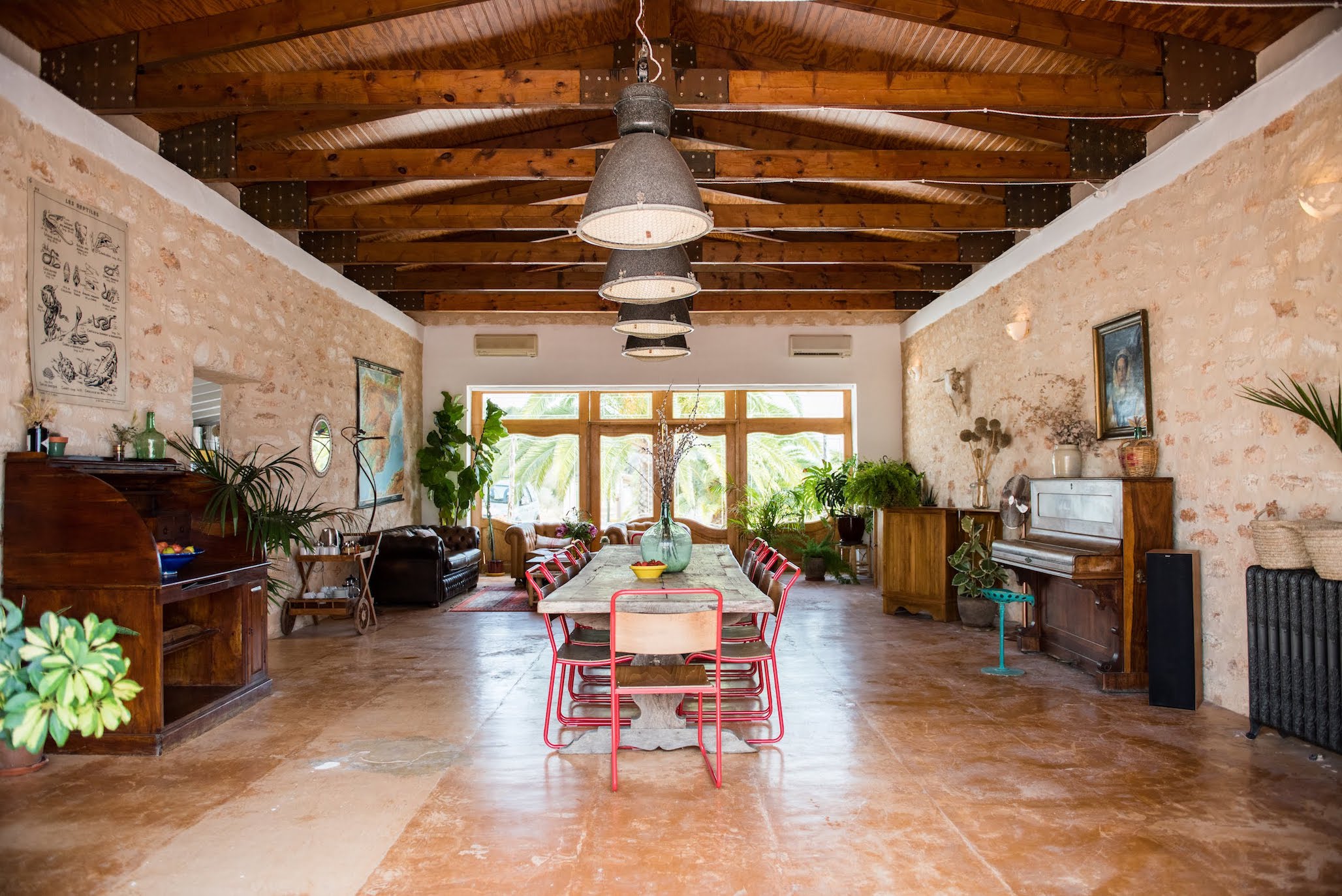 Las Chumberas image 19