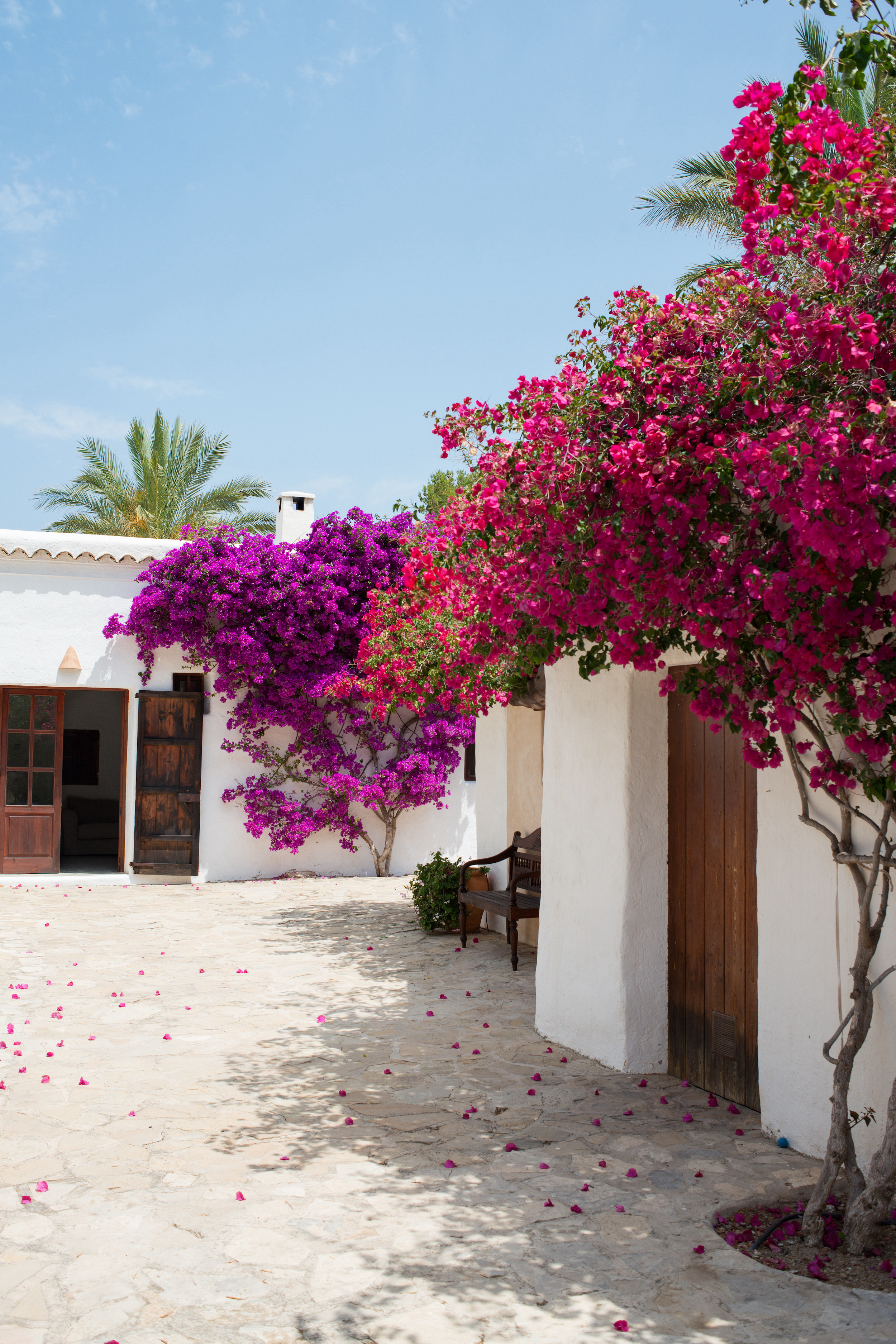 Villa Santy image 42