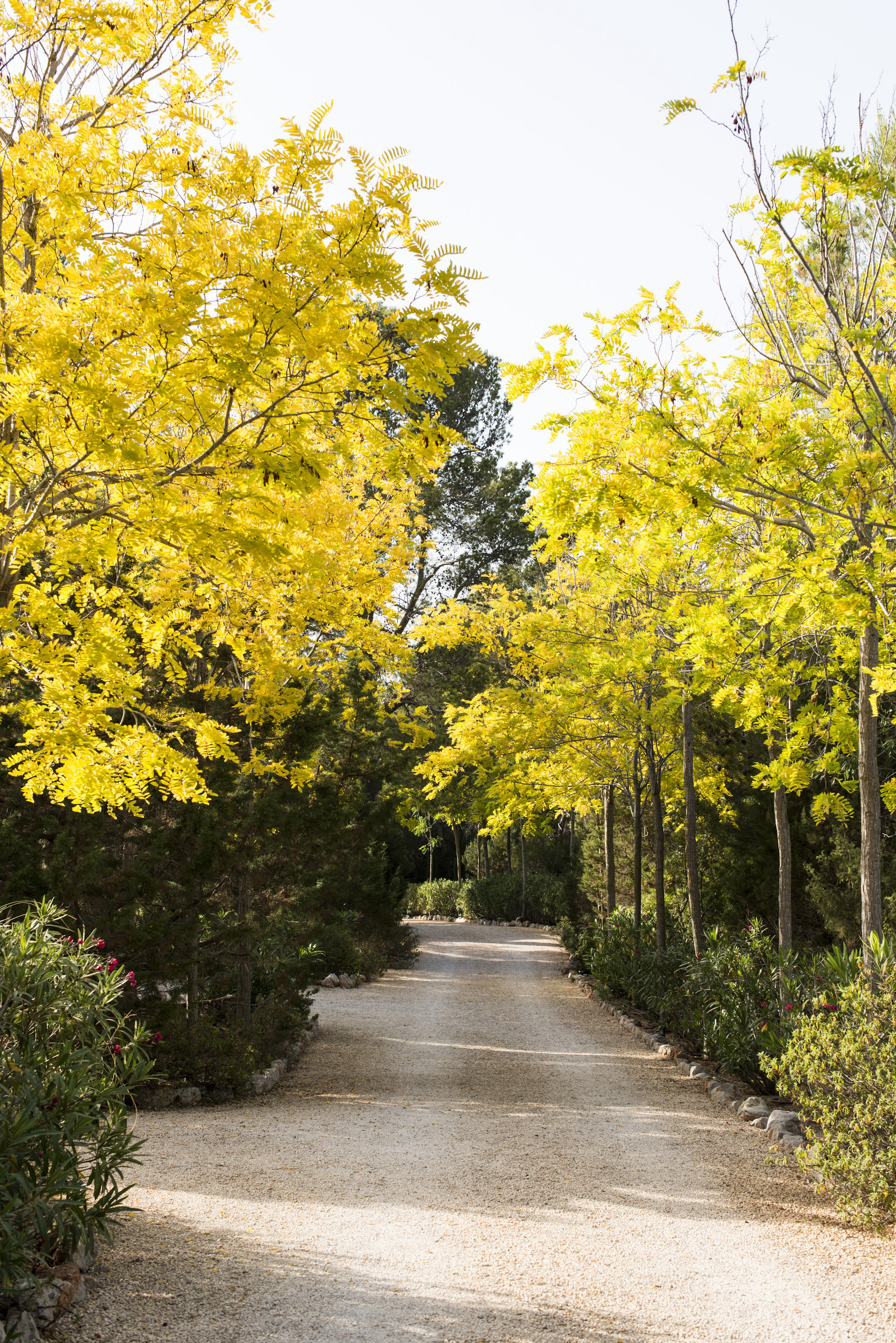 Villa Santy image 48