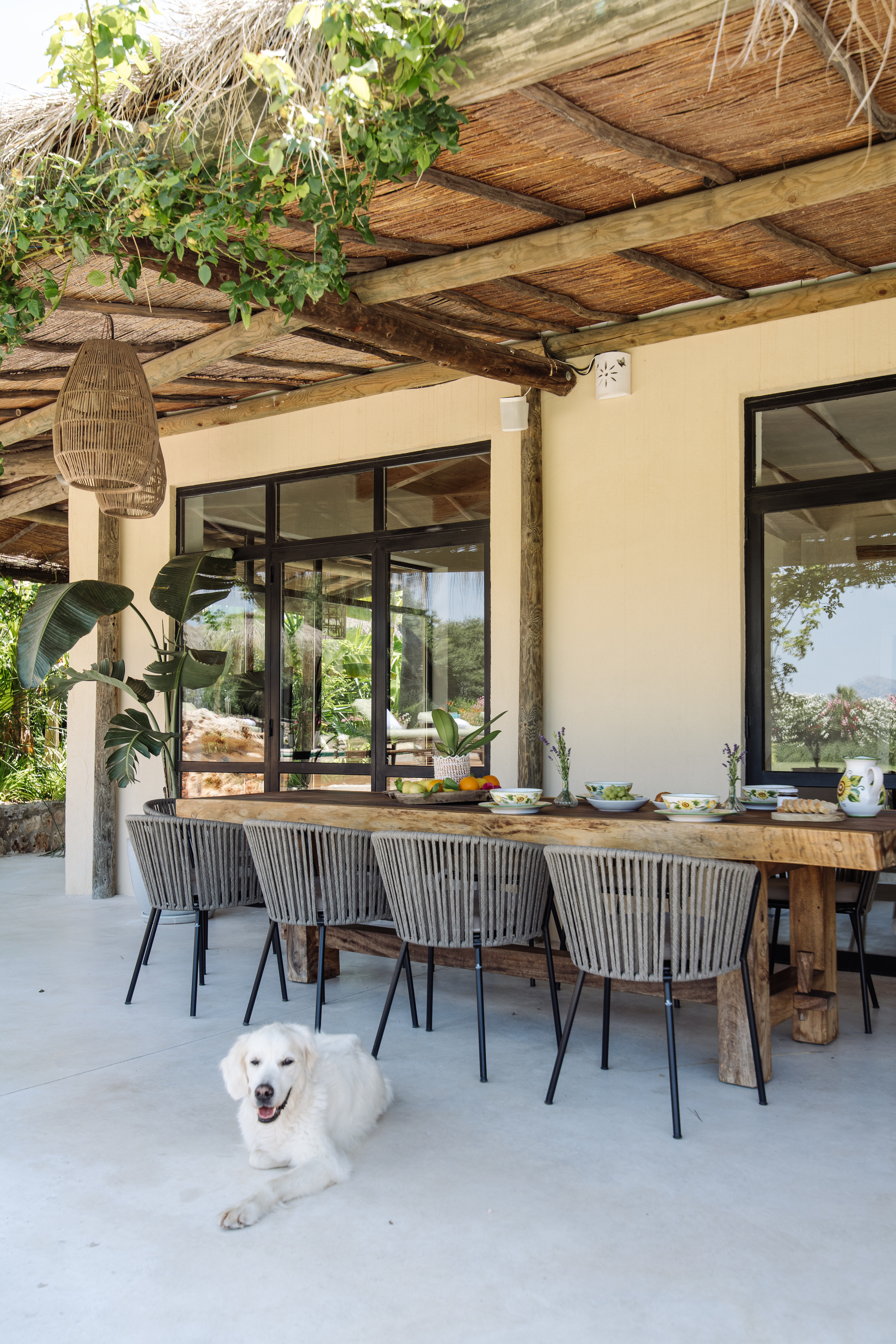 Casa Verano image 13