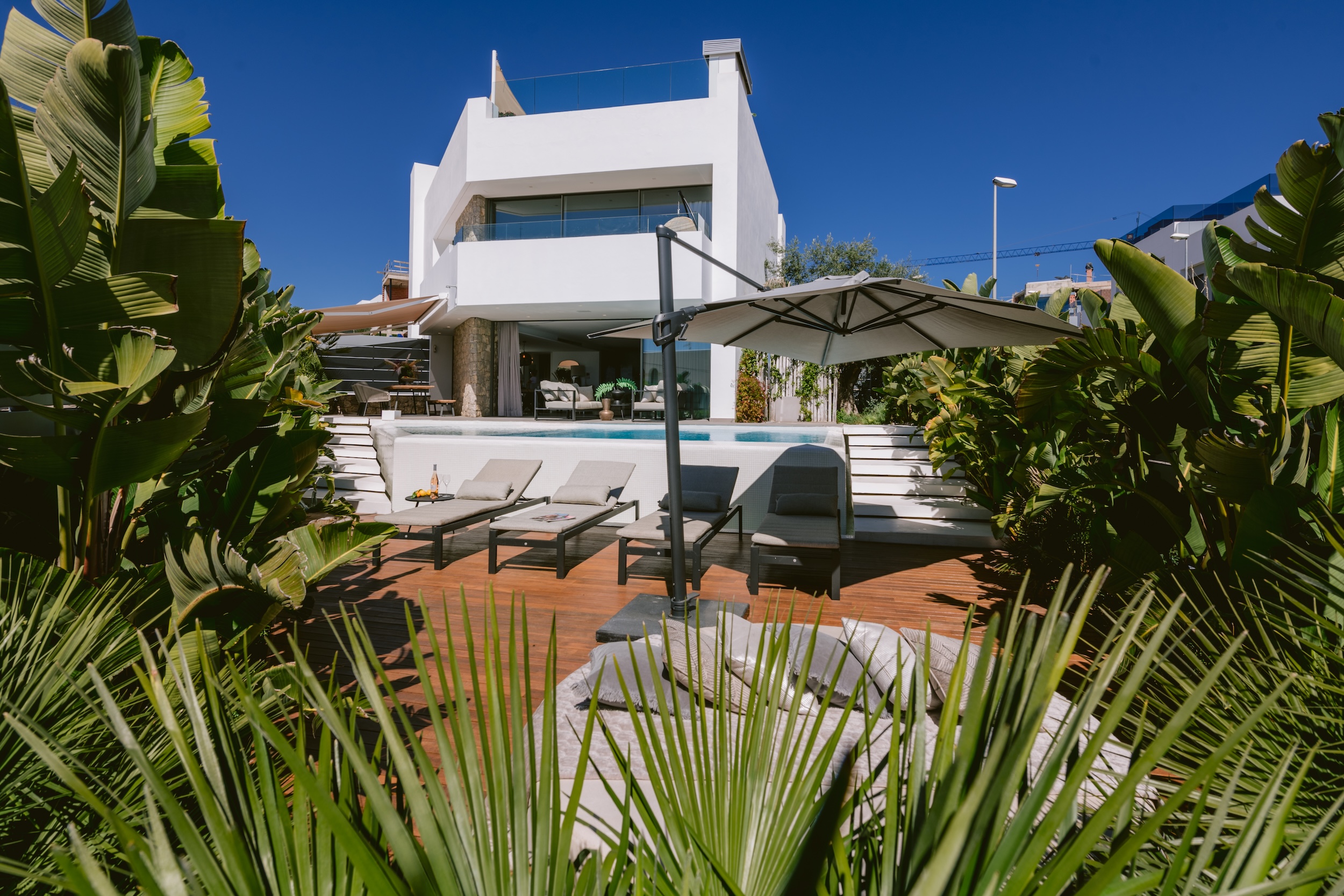 Casa Kiwi image 2