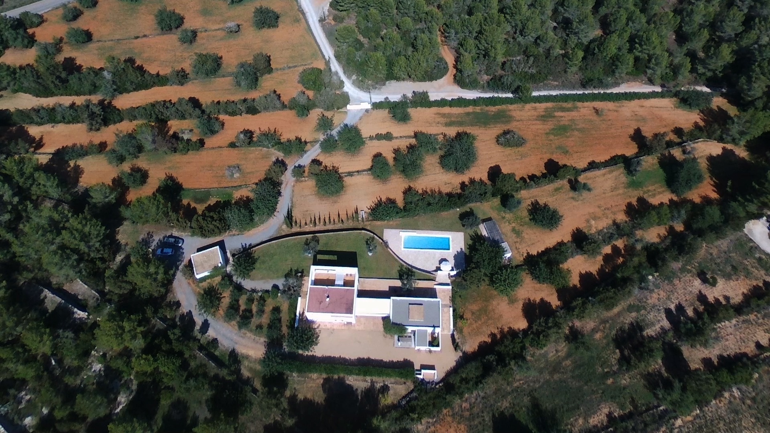 Can Perez image 45