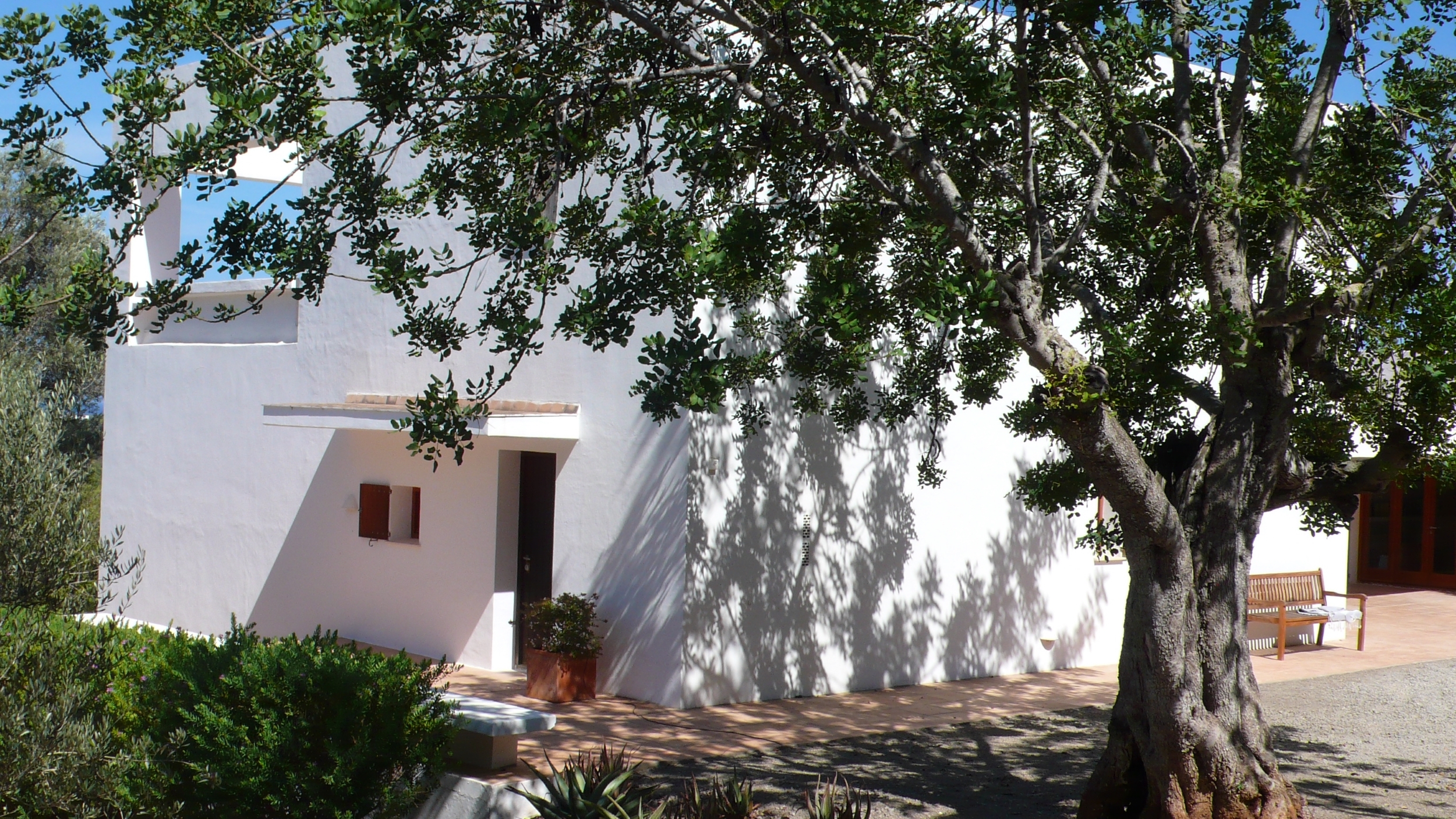 Can Perez image 36