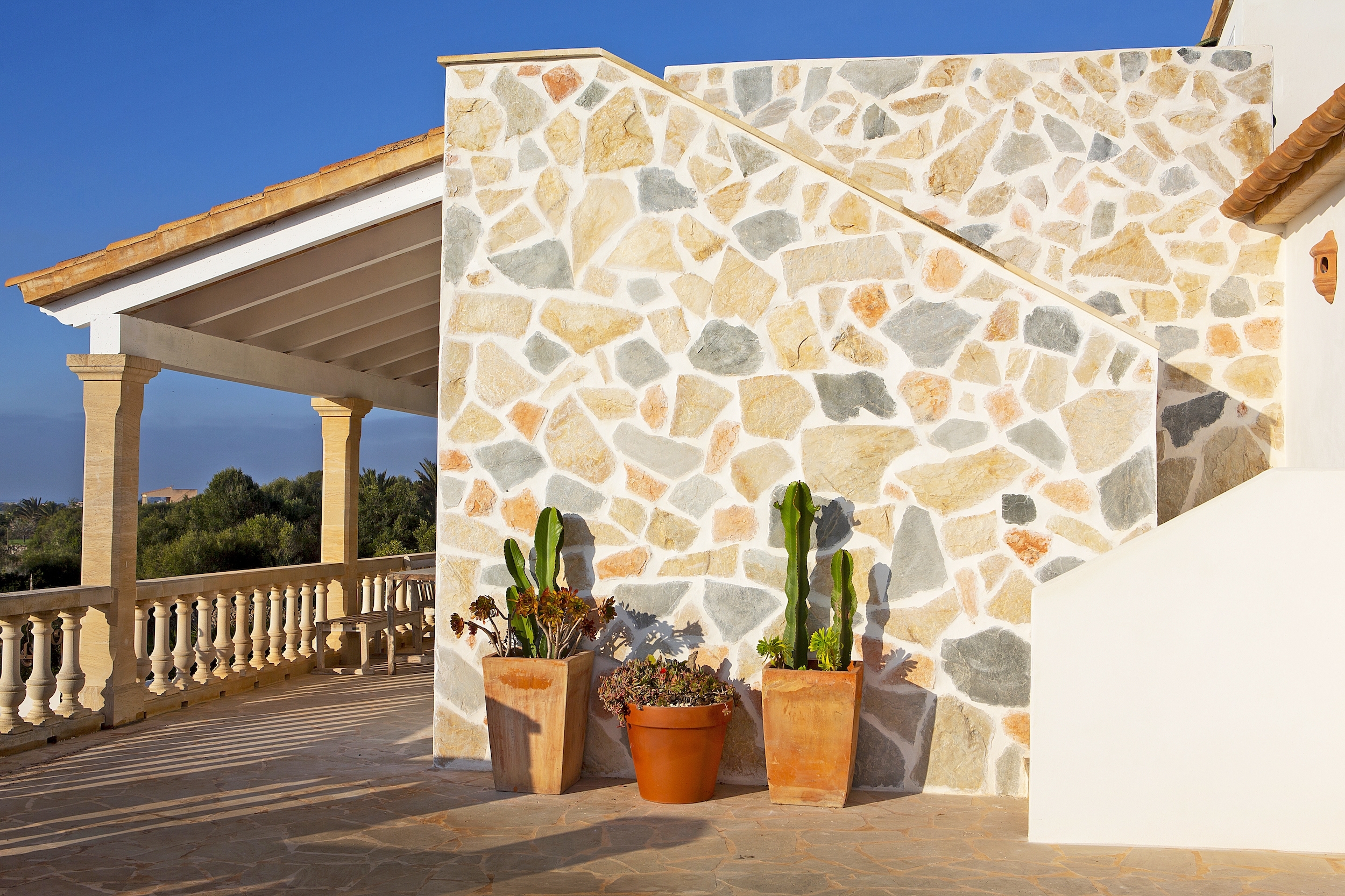 Finca Herrera image 12