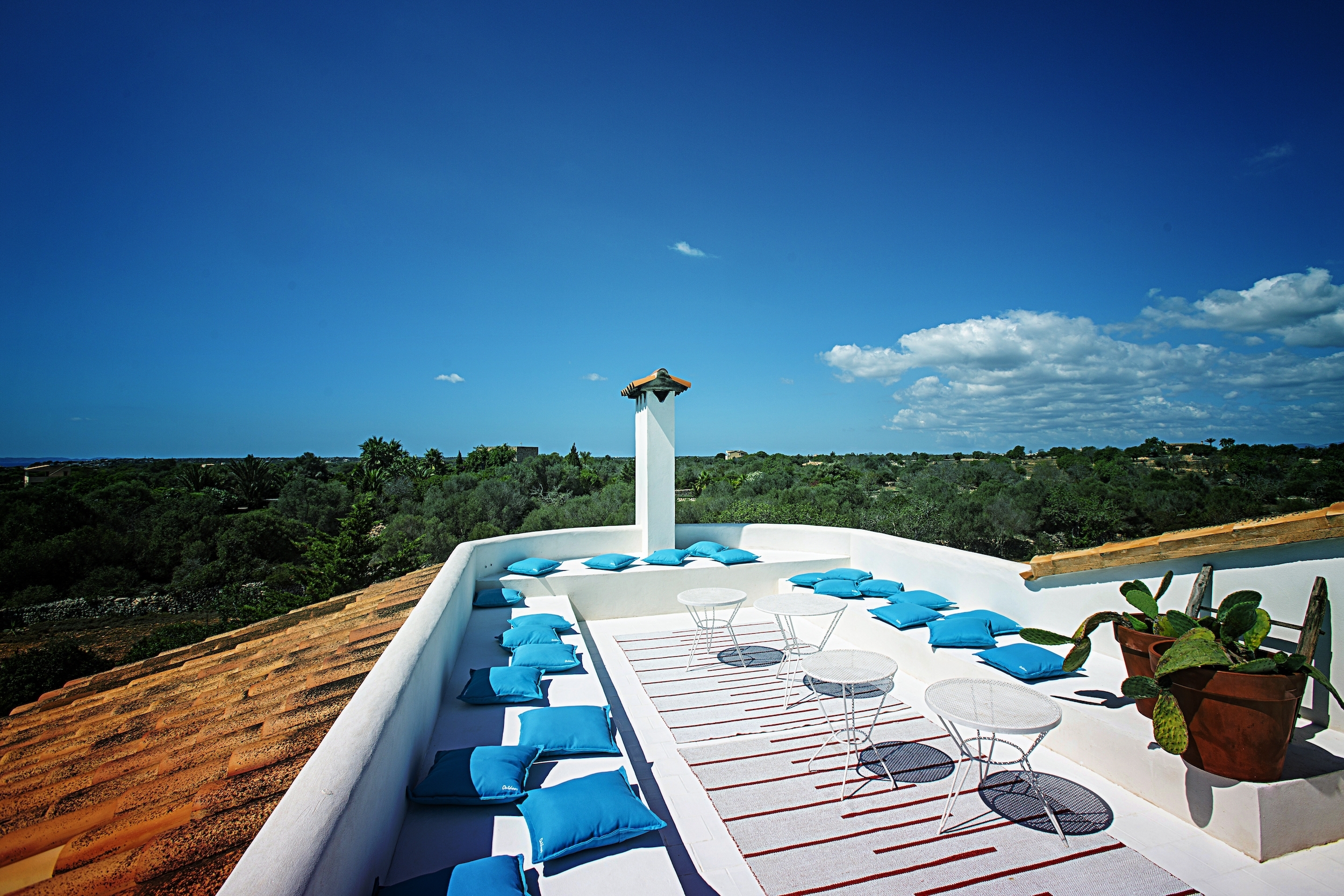 Finca Herrera image 16