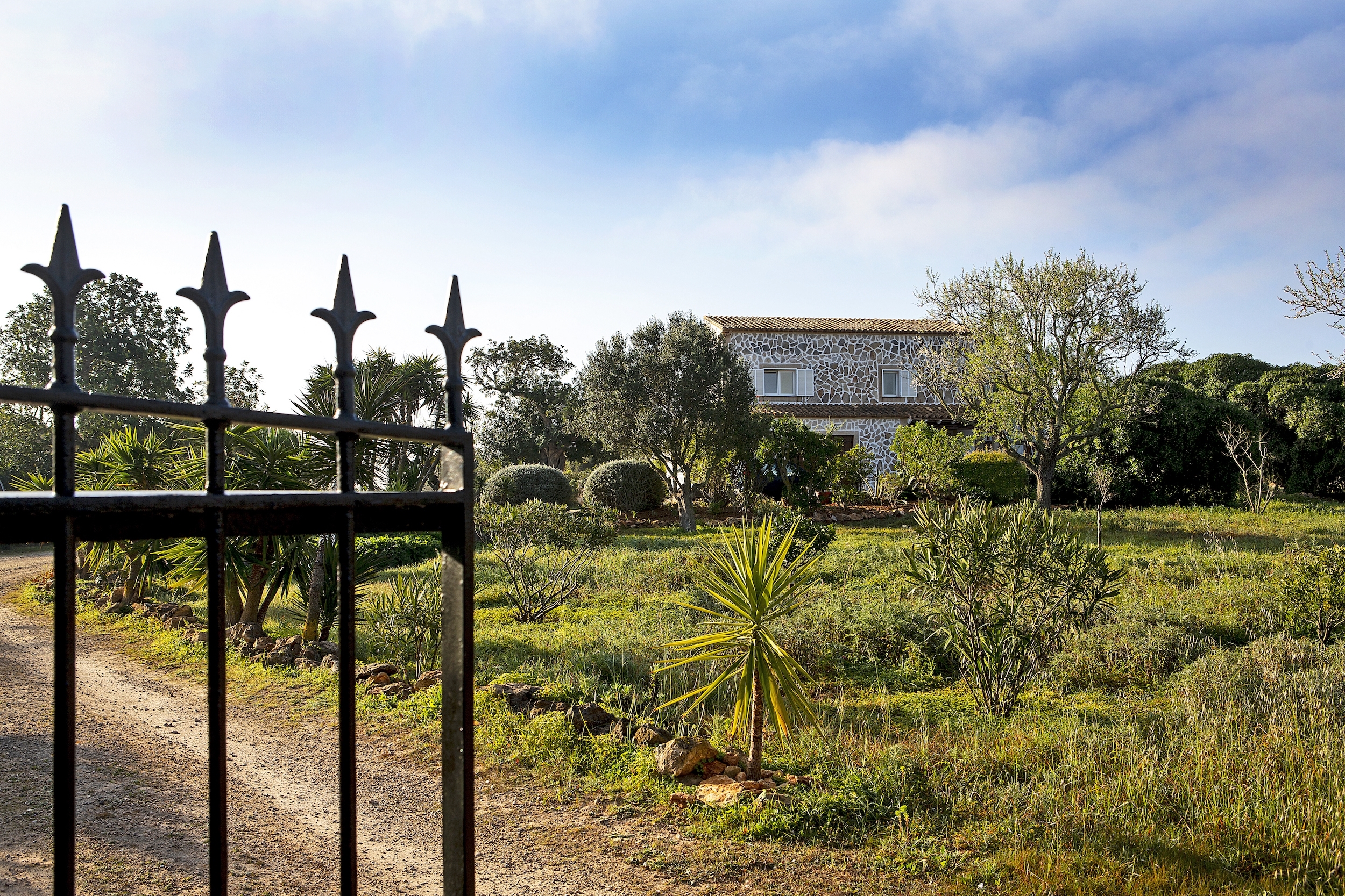 Finca Herrera image 21