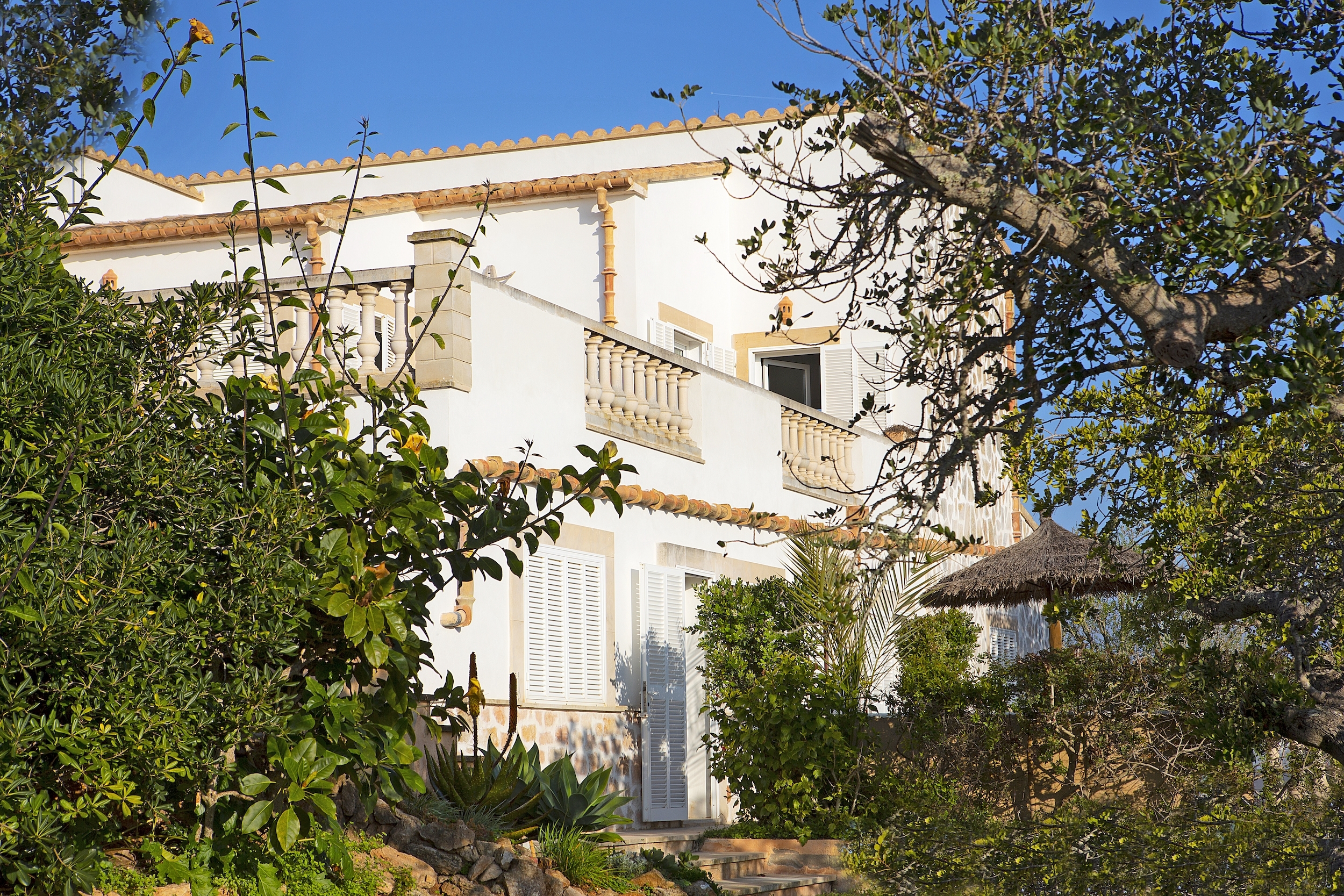 Finca Herrera image 22
