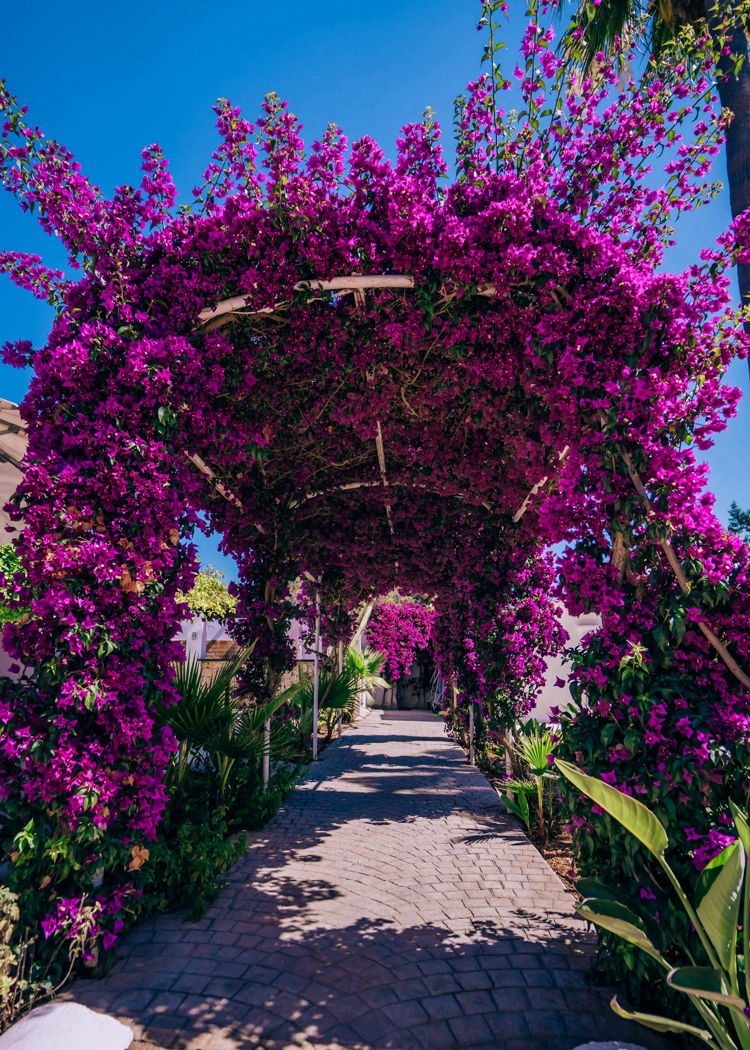 Casa Labonita image 45