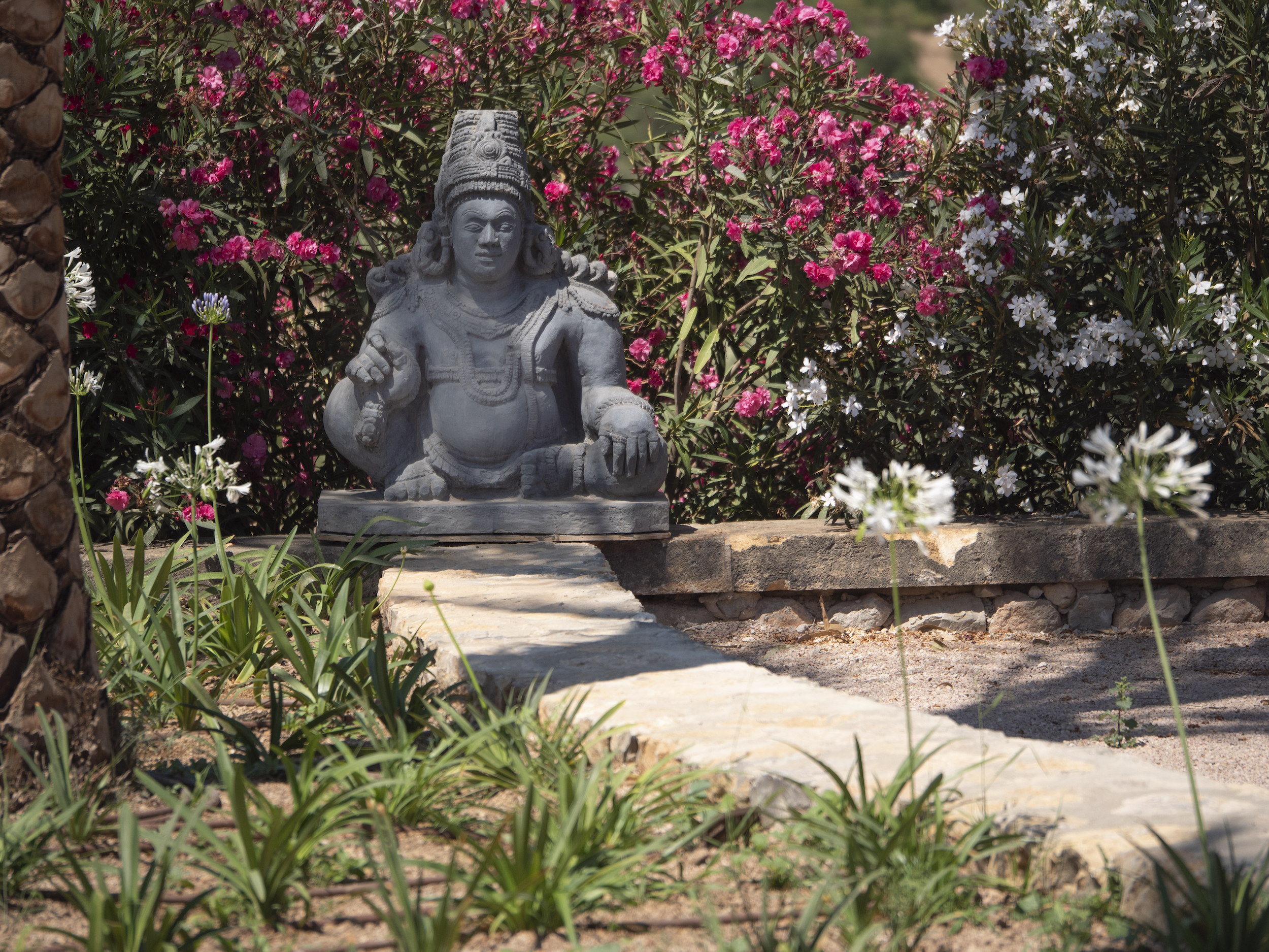 Fedele Estate image 58
