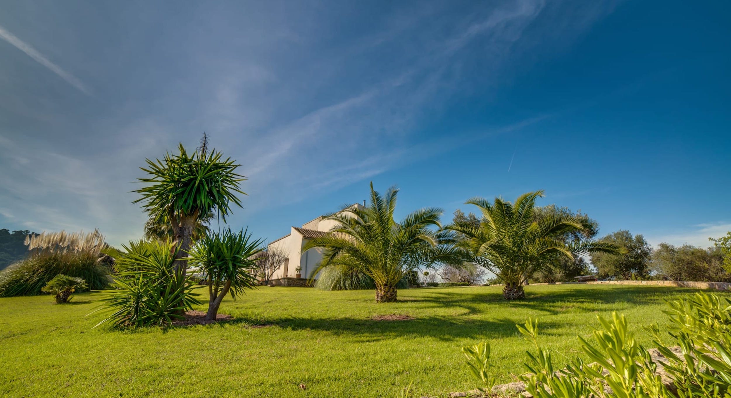 Villa Serefina image 40