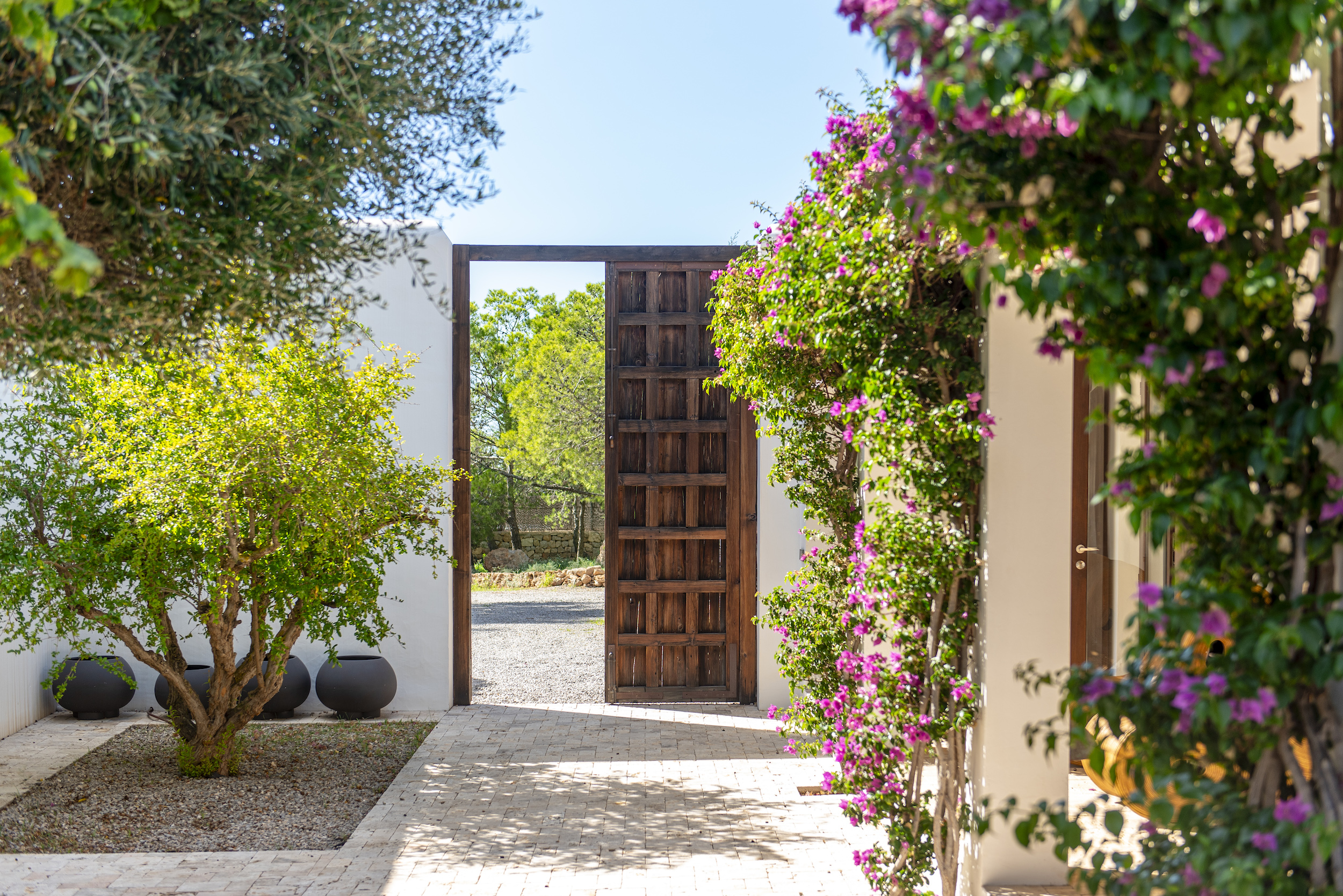 Villa Viviana image 47