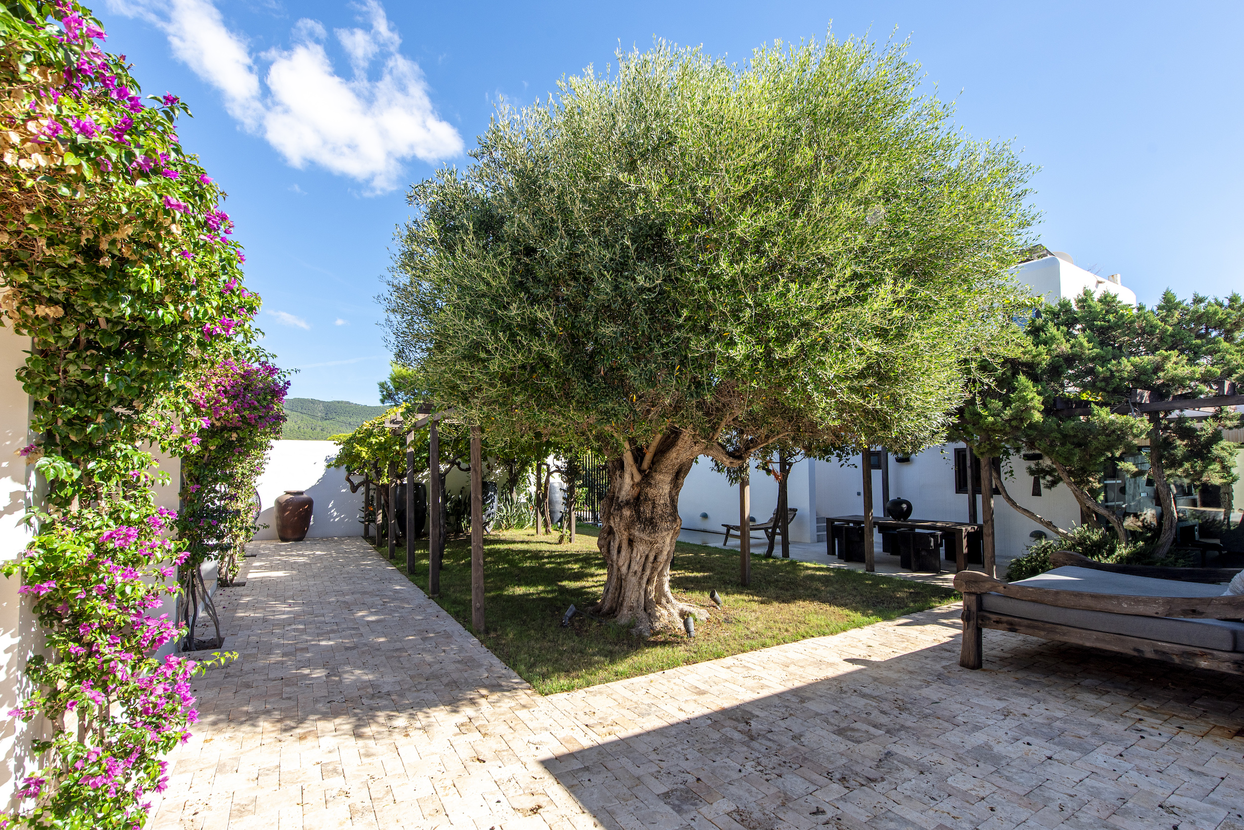 Villa Viviana image 46