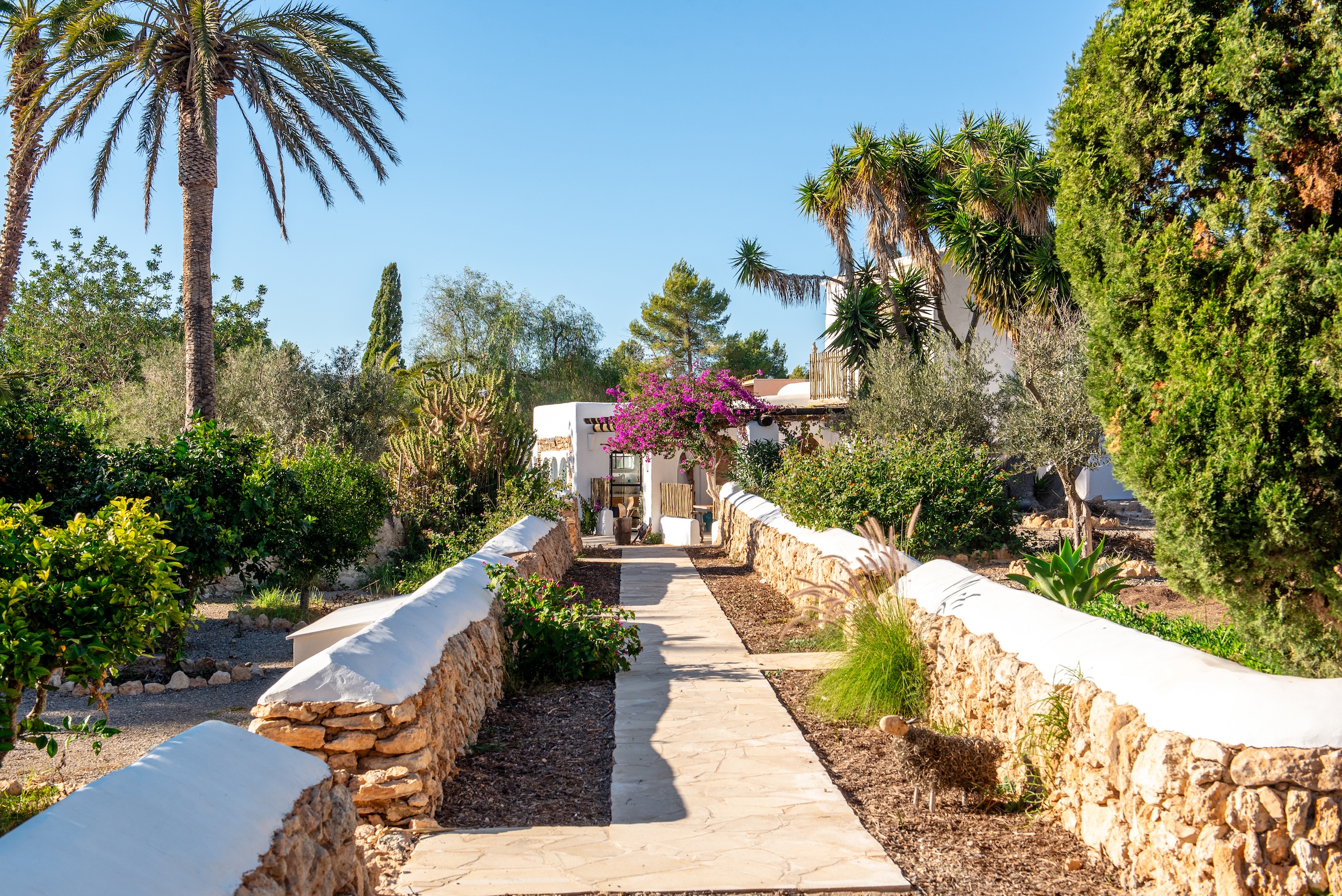 Finca Dayanara image 8