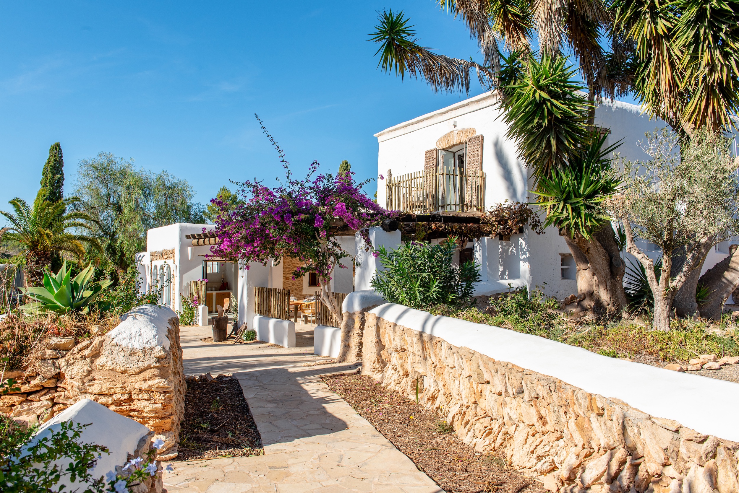 Finca Dayanara image 9