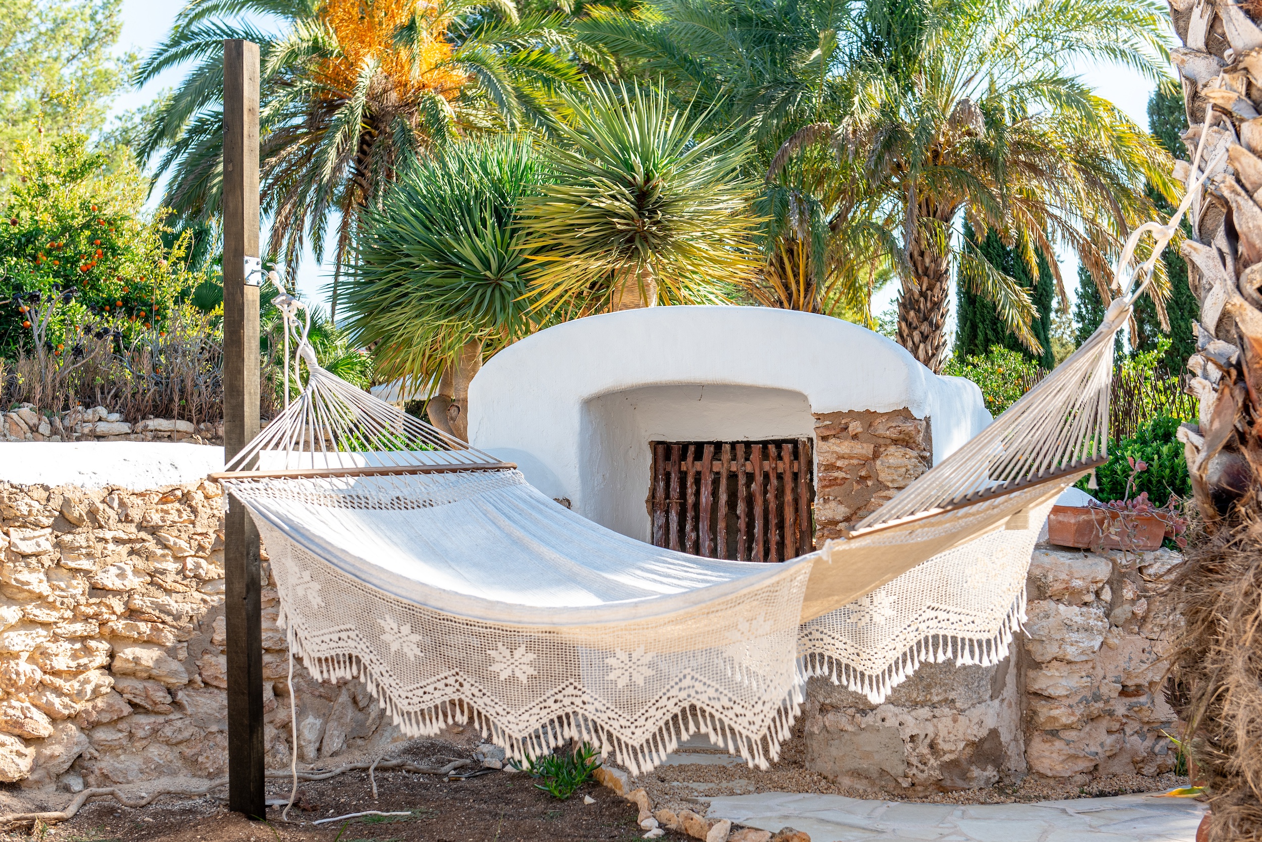 Finca Dayanara image 28