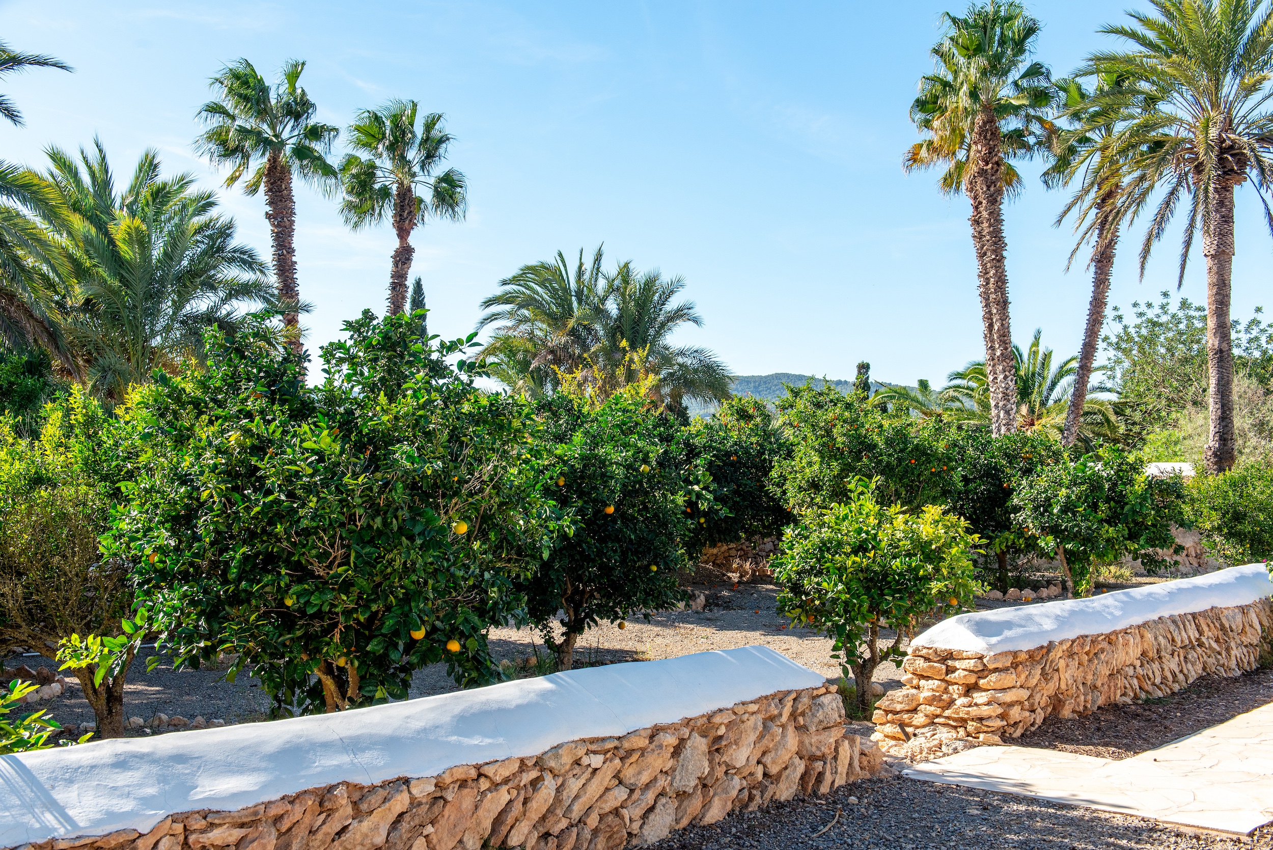 Finca Dayanara image 29