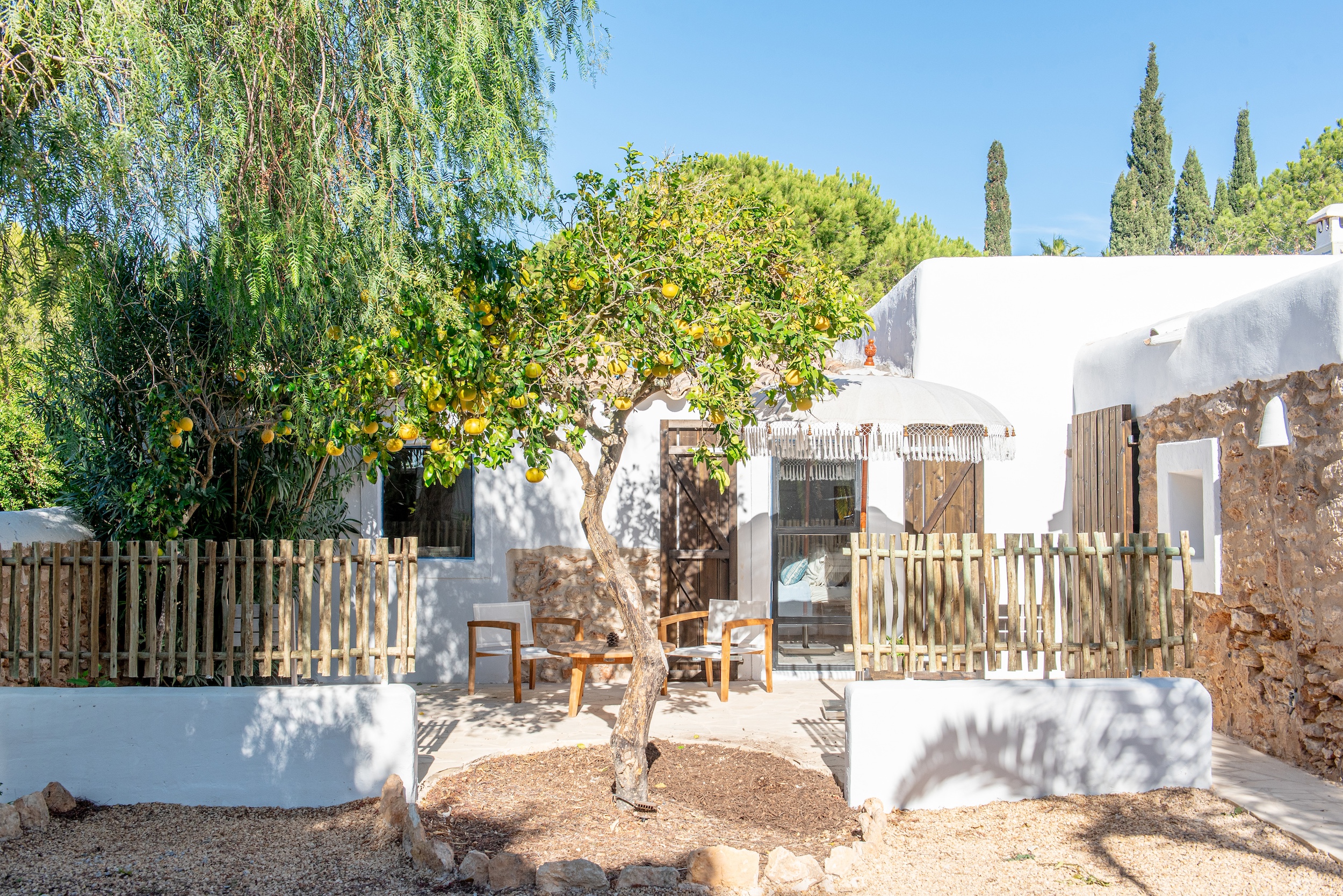 Finca Dayanara image 42