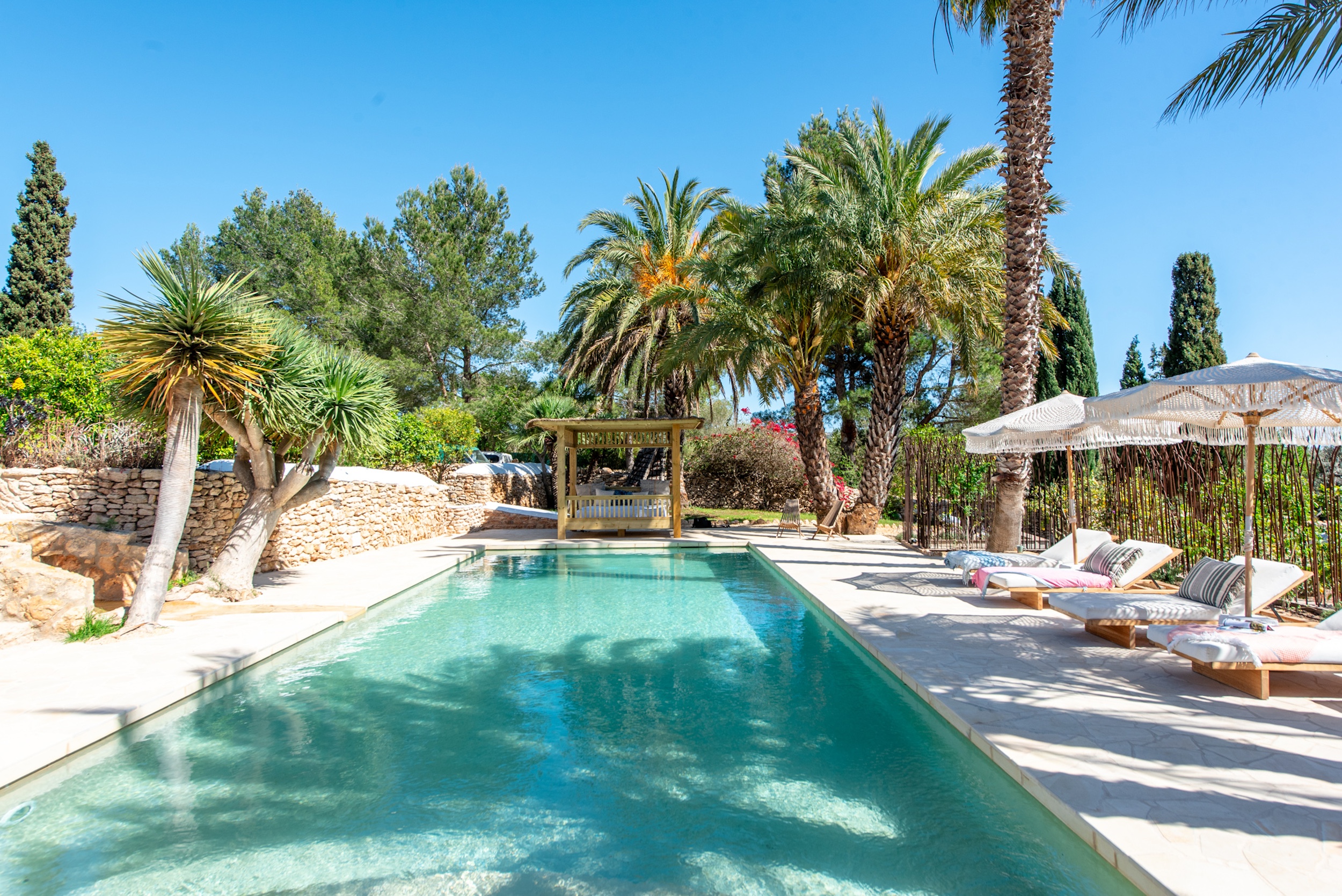 Finca Dayanara image 6