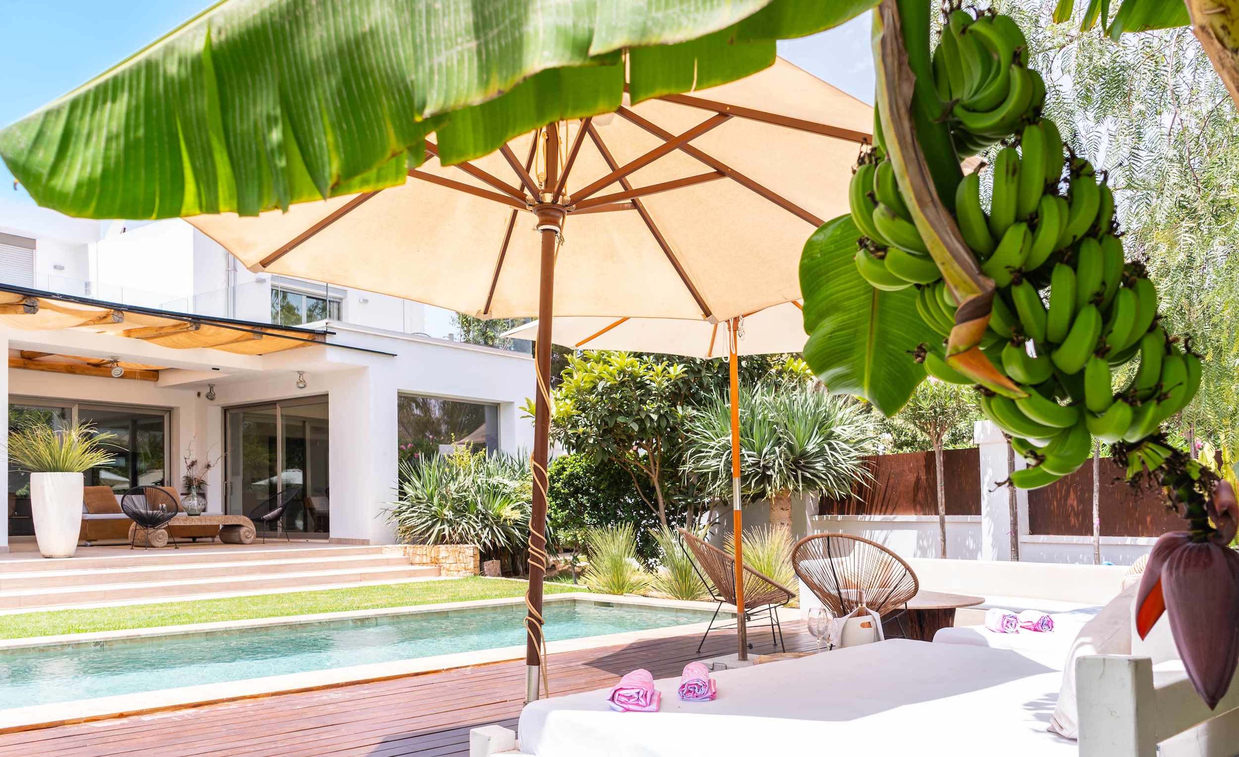 Casa Preciosa image 8
