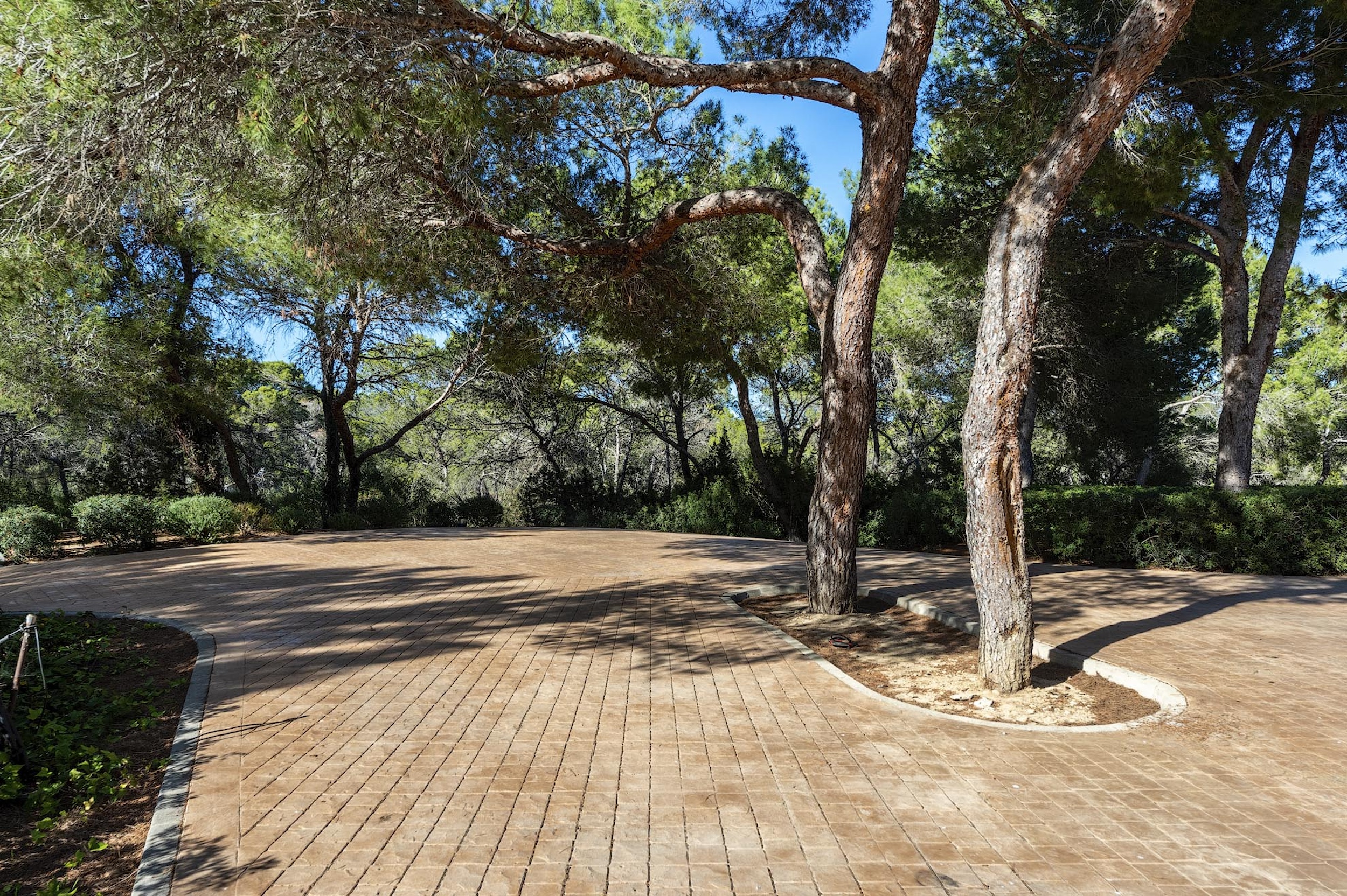 Villa Eliana image 64