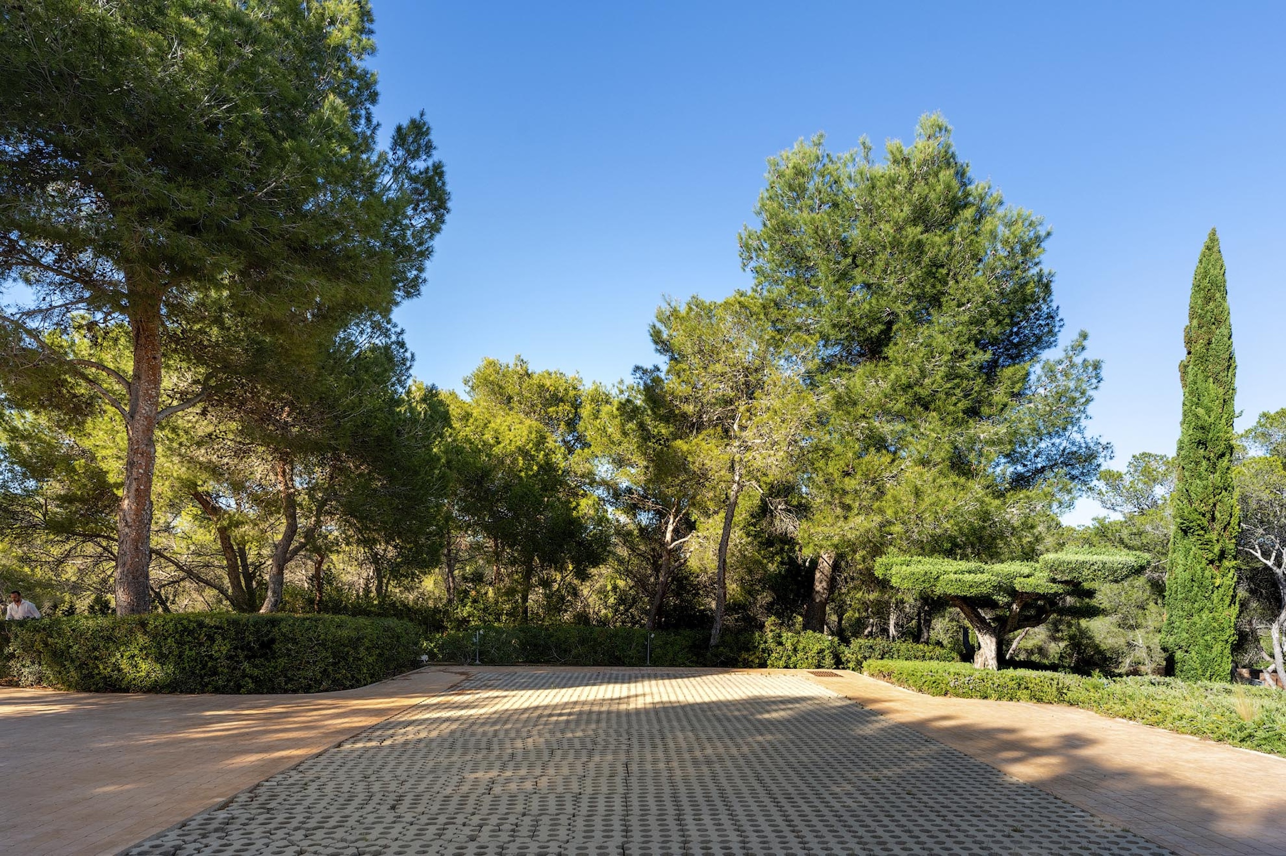 Villa Eliana image 66
